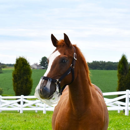 ThinLine Flexible Filly Grazing Muzzle