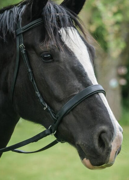 ThinLine Bitless Noseband Bridle Converter Brown
