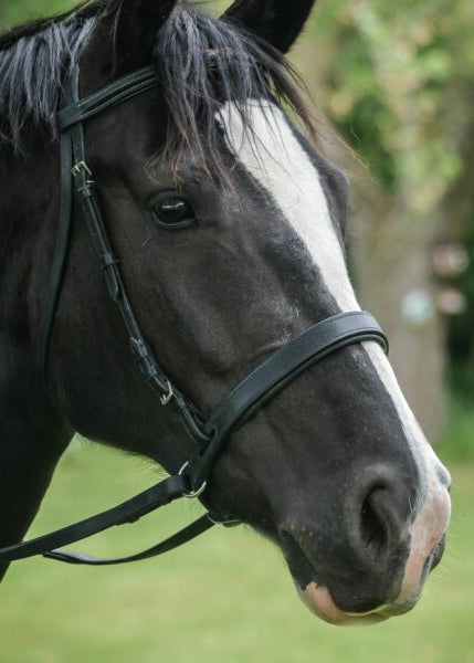 ThinLine Bitless Noseband Bridle Converter Brown