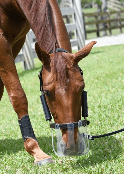 Horse Wearing Thinline Flexible Filly Grazing Muzzle for Pasture Management - Large