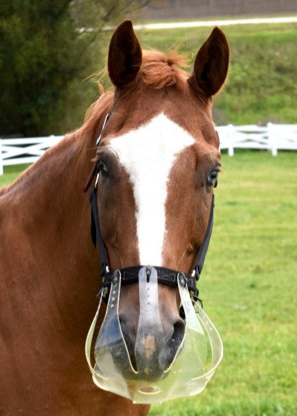 ThinLine Flexible Filly Grazing Muzzle