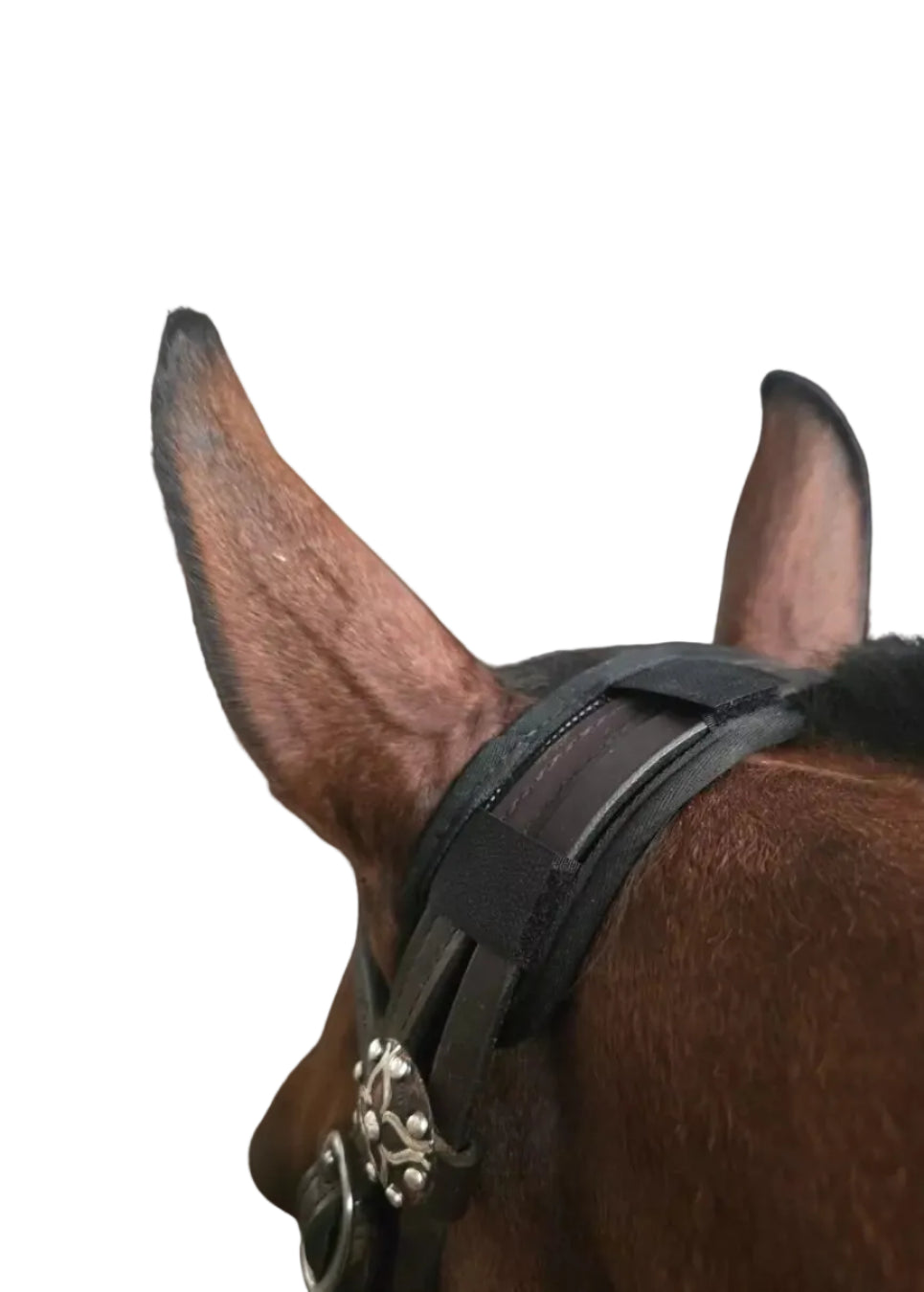 ThinLine Padded Halter Liners / Bridle Wraps, 3 Piece Set