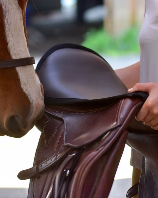 Thinline Seat Saver Black on Equestrian Saddle with Horse. Reduces Back Pain & Improves Equitation - Equiflair - All Purpose