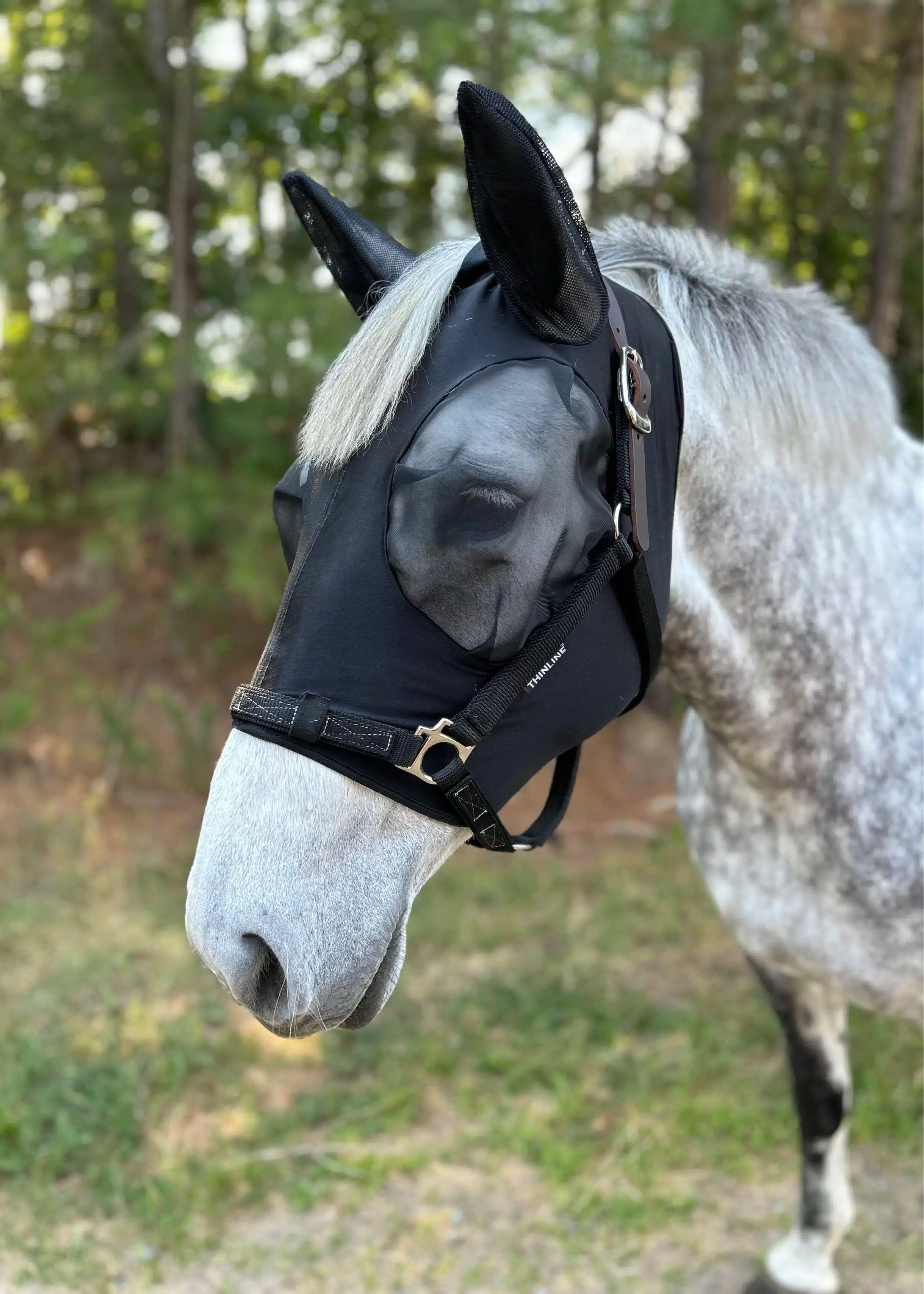Horse wearing ThinLine SoftFit Lycra Fly Mask. Comfortable Fly Control Protection for Horses. - Fly Protection Small