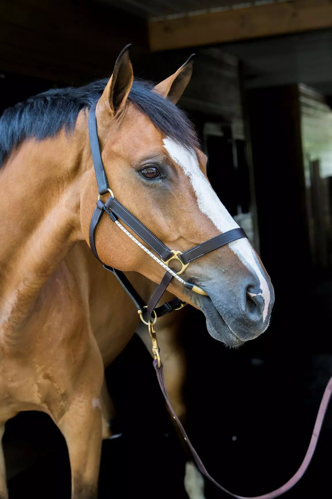 ThinLine Busy Buddy Horse Calmer