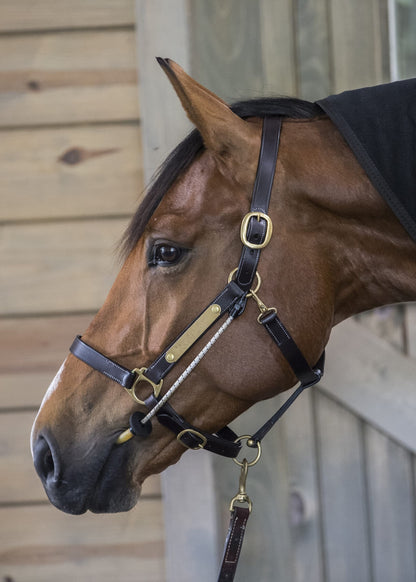 Brown Horse with ThinLine Busy Buddy Calmer. Anti-Stress, Grooming and Equine Vet Aid available at Equiflair.