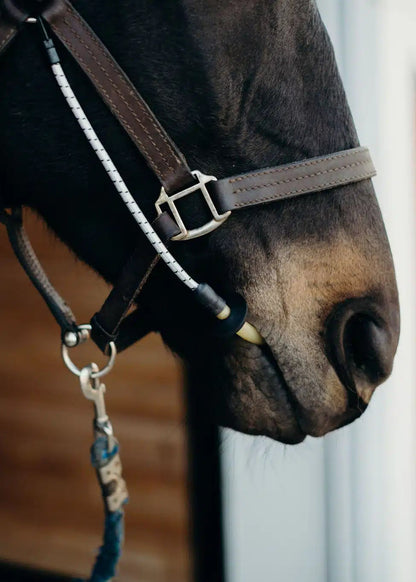 Horse wearing ThinLine Busy Buddy Calmer: Stress Relief for Grooming, Vet Visits & More! -…