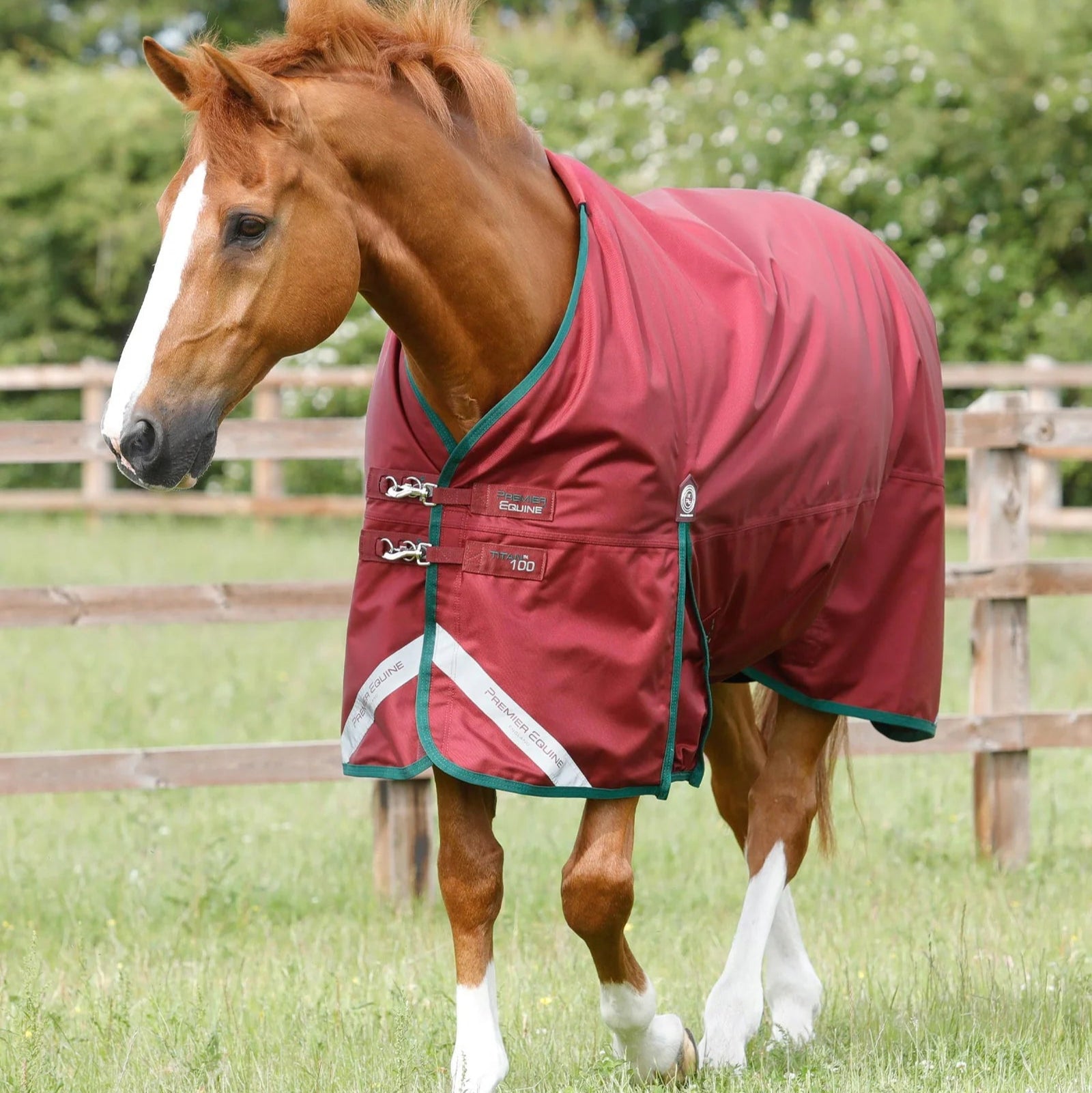 Premier Equine Titan 100g Original Turnout Rug Burgundy