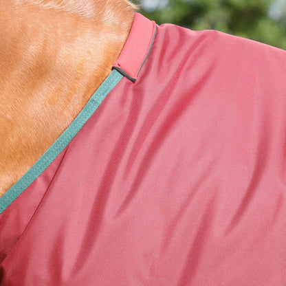 Horse wearing burgundy Premier Equine Titan 100g turnout rug - waterproof & breathable.