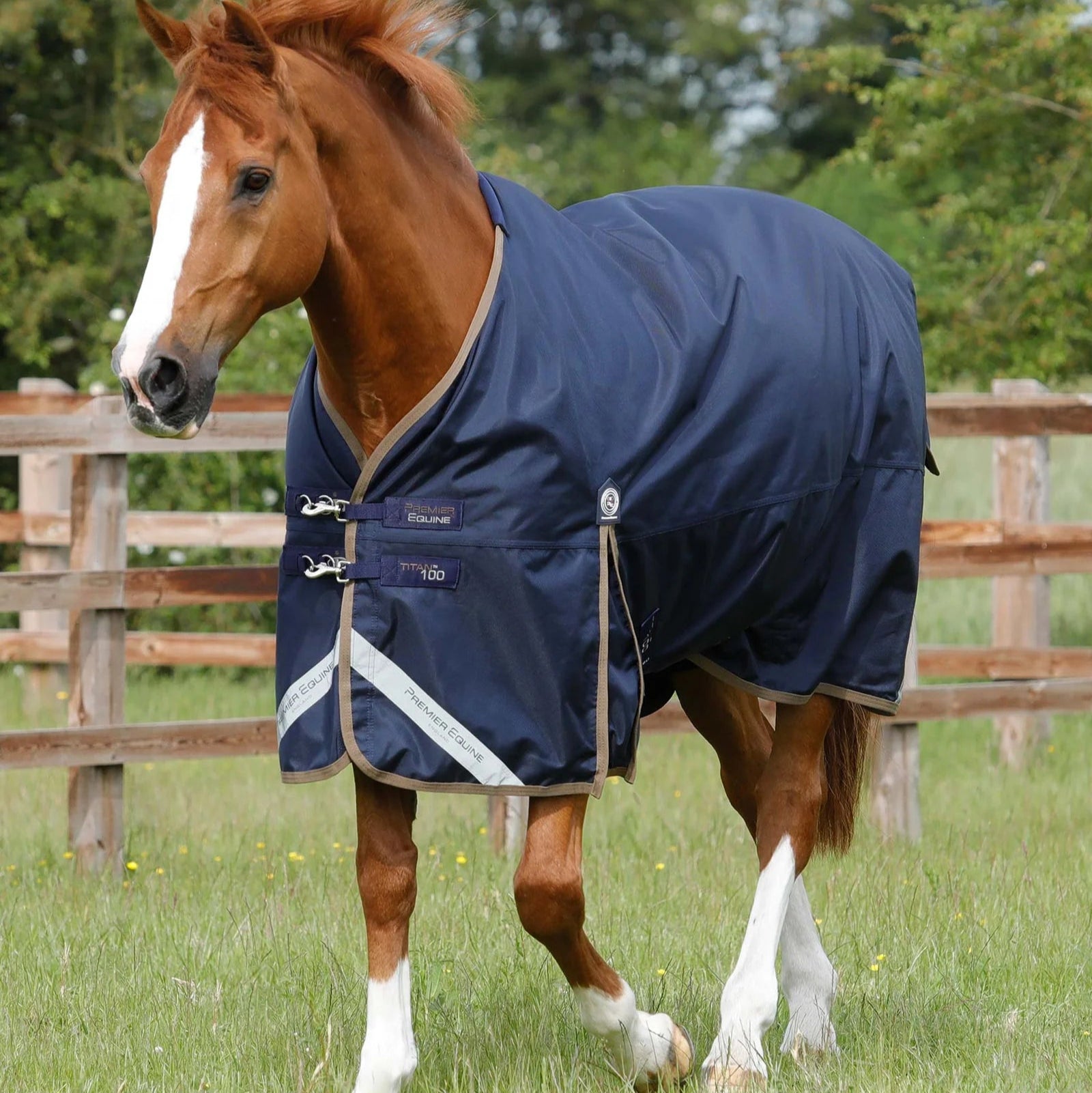 Premier Equine Titan 100g Original Turnout Rug Navy