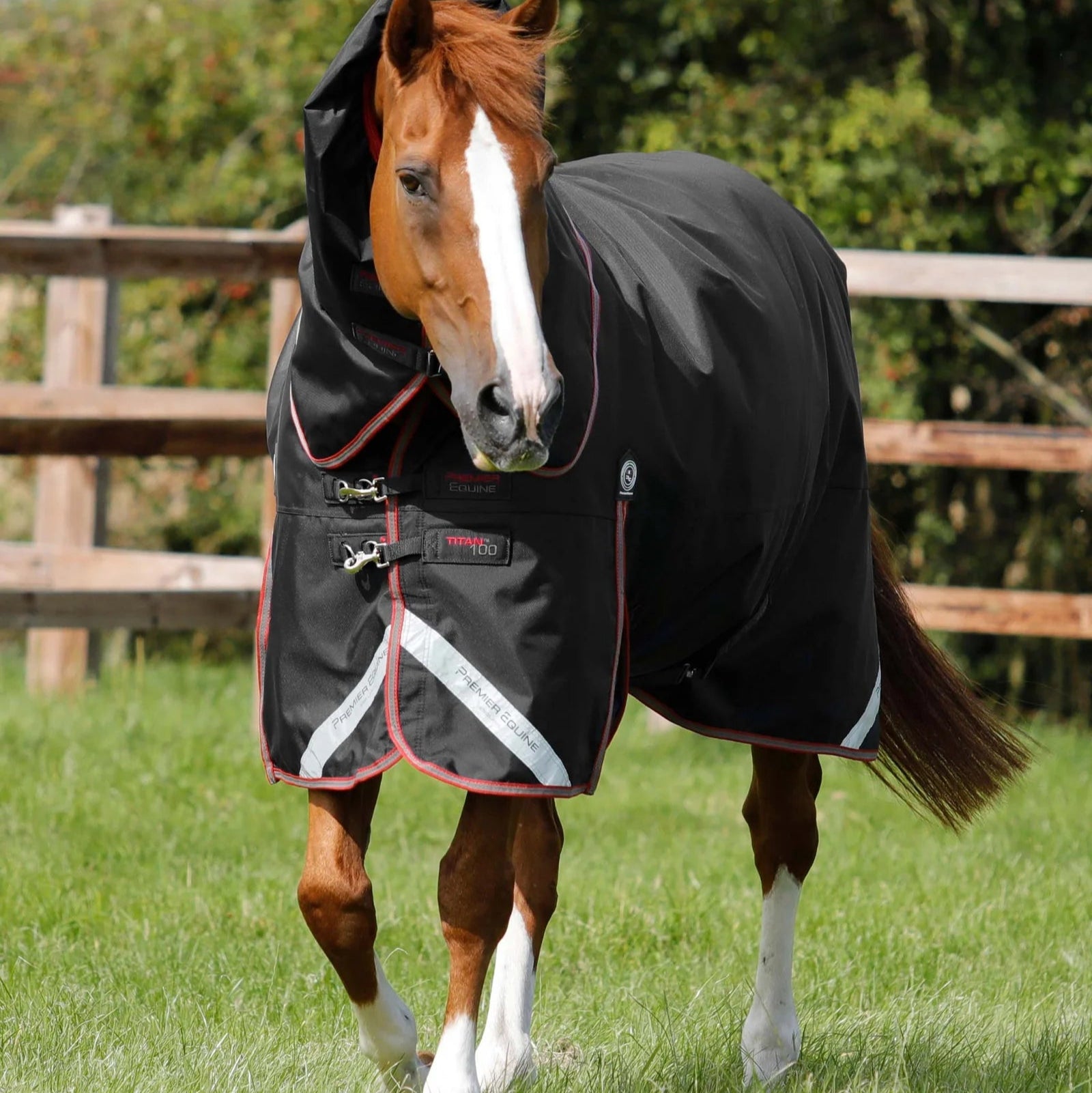 Premier Equine Titan 100g Turnout Rug with Snug-Fit Neck Cover Black