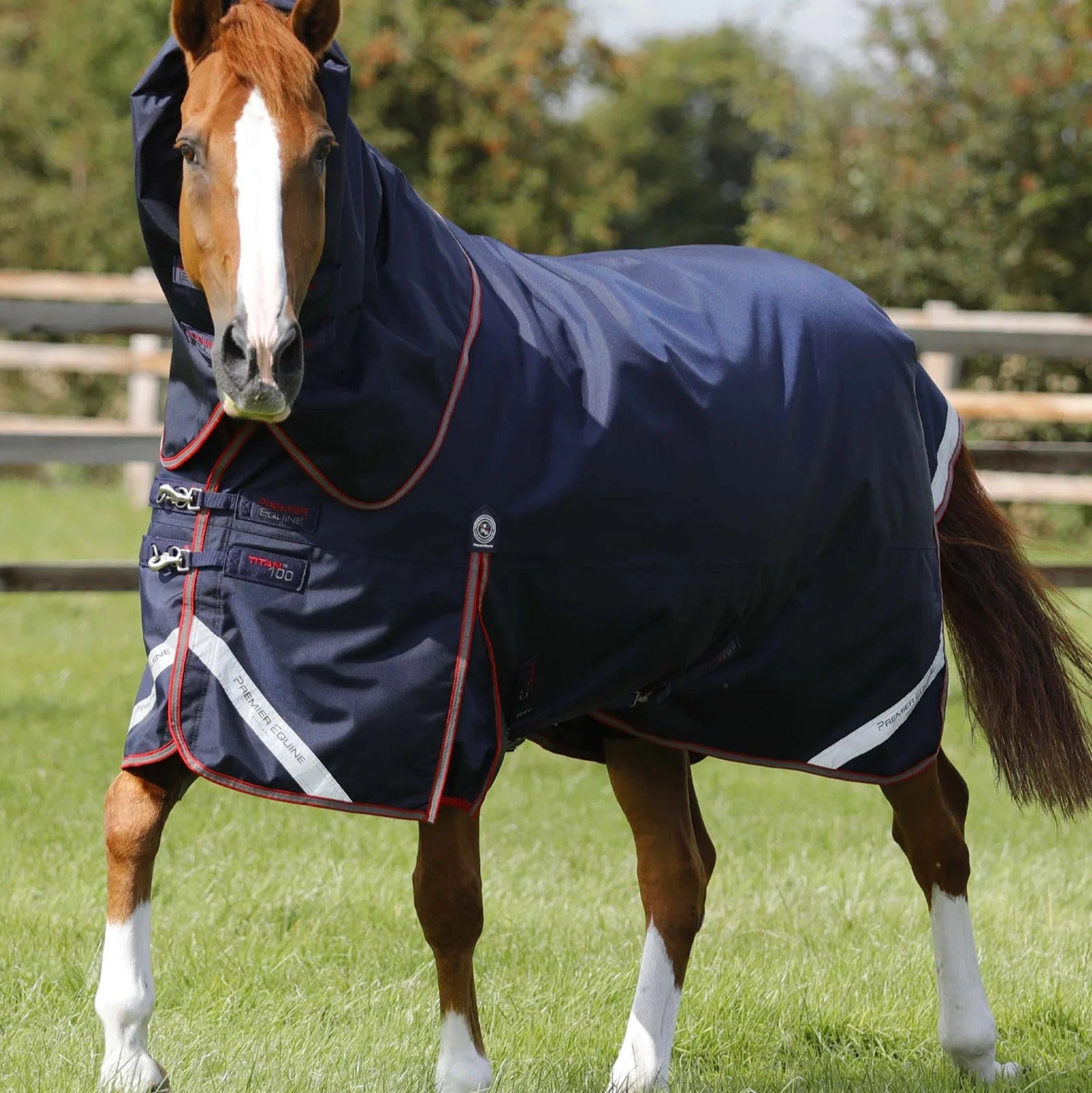 Premier Equine Titan 100g Turnout Rug with Snug-Fit Neck Cover Navy