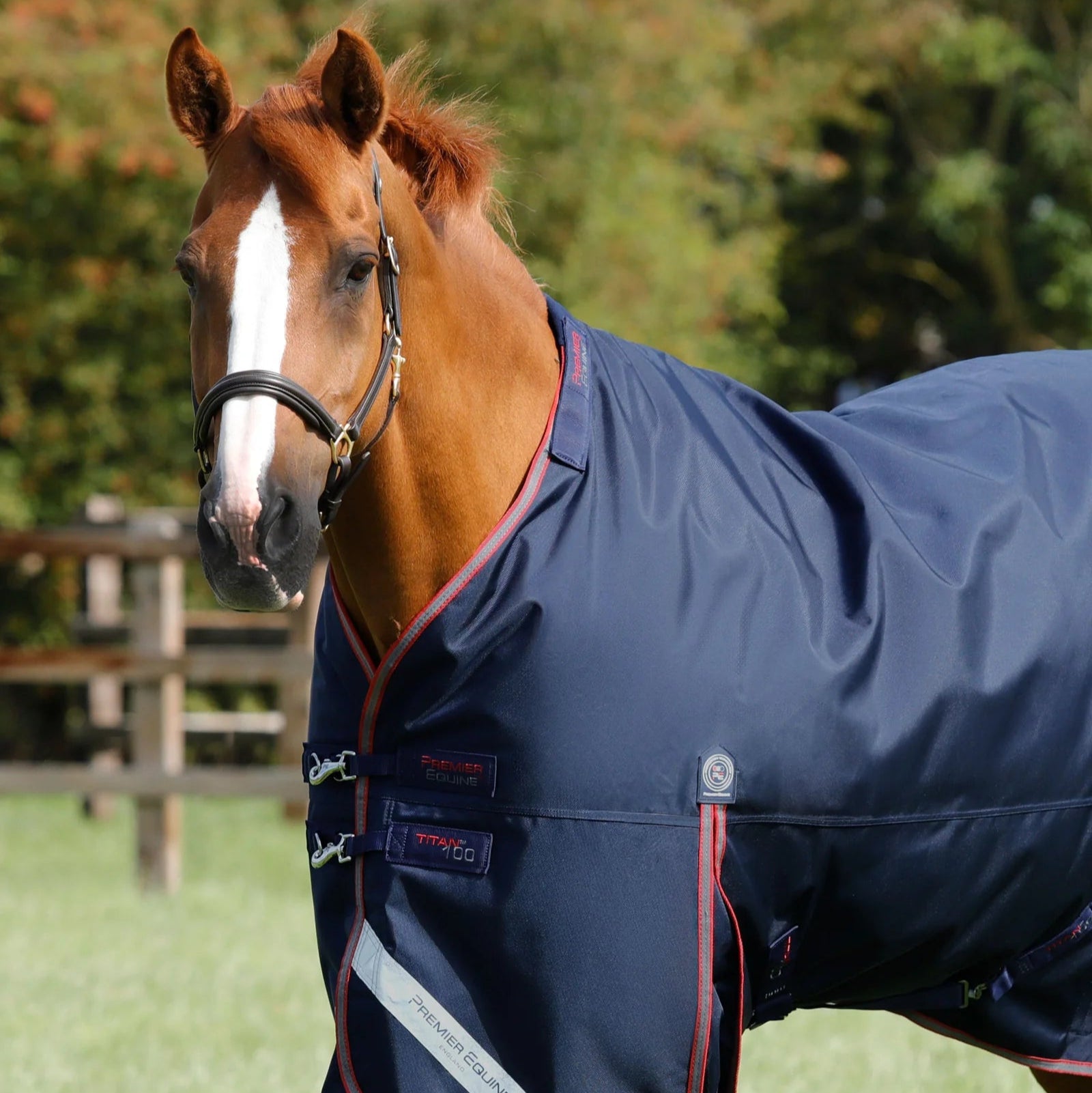 Premier Equine Titan 100g Turnout Rug with Snug-Fit Neck Cover Navy