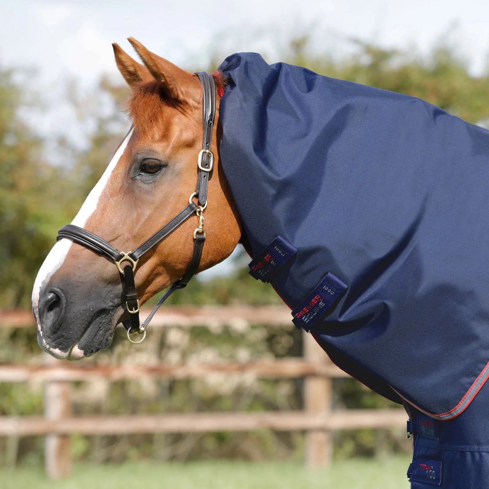 Premier Equine Titan 100g Turnout Rug with Snug-Fit Neck Cover Navy
