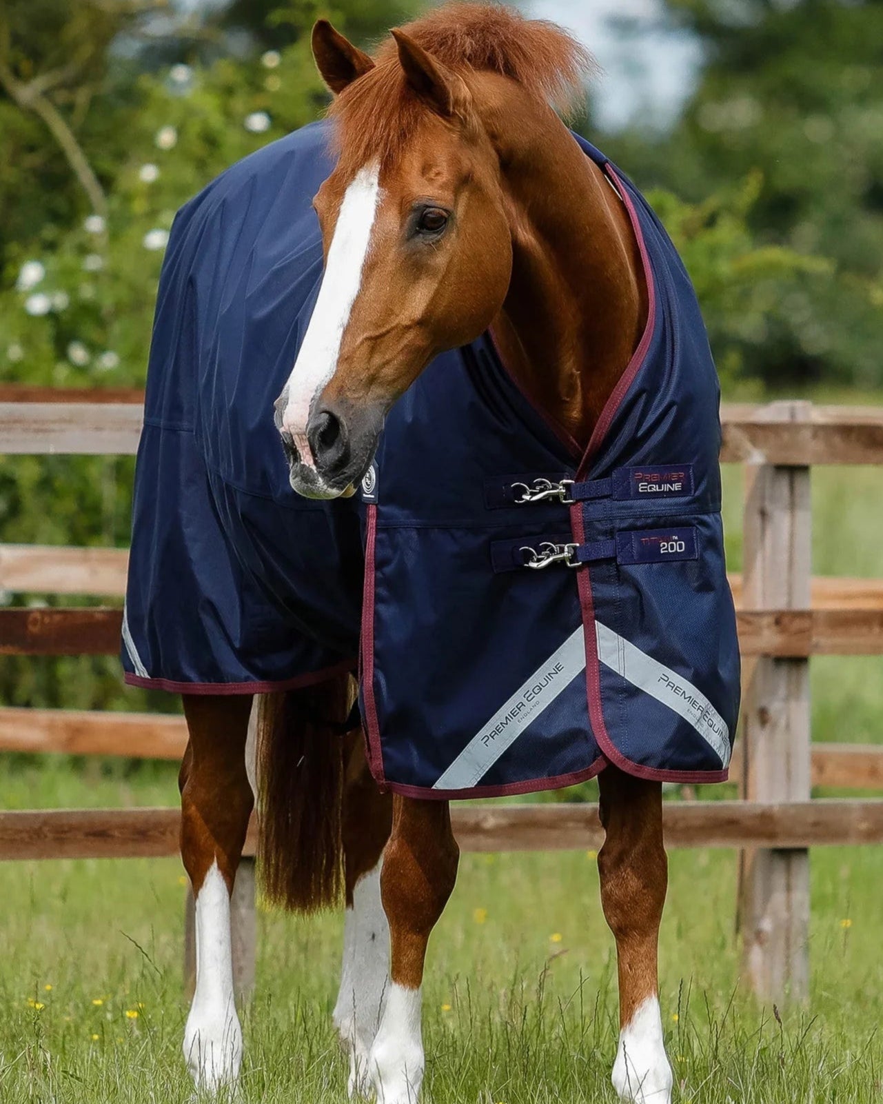 Premier Equine Titan 200g Original Turnout Rug Navy