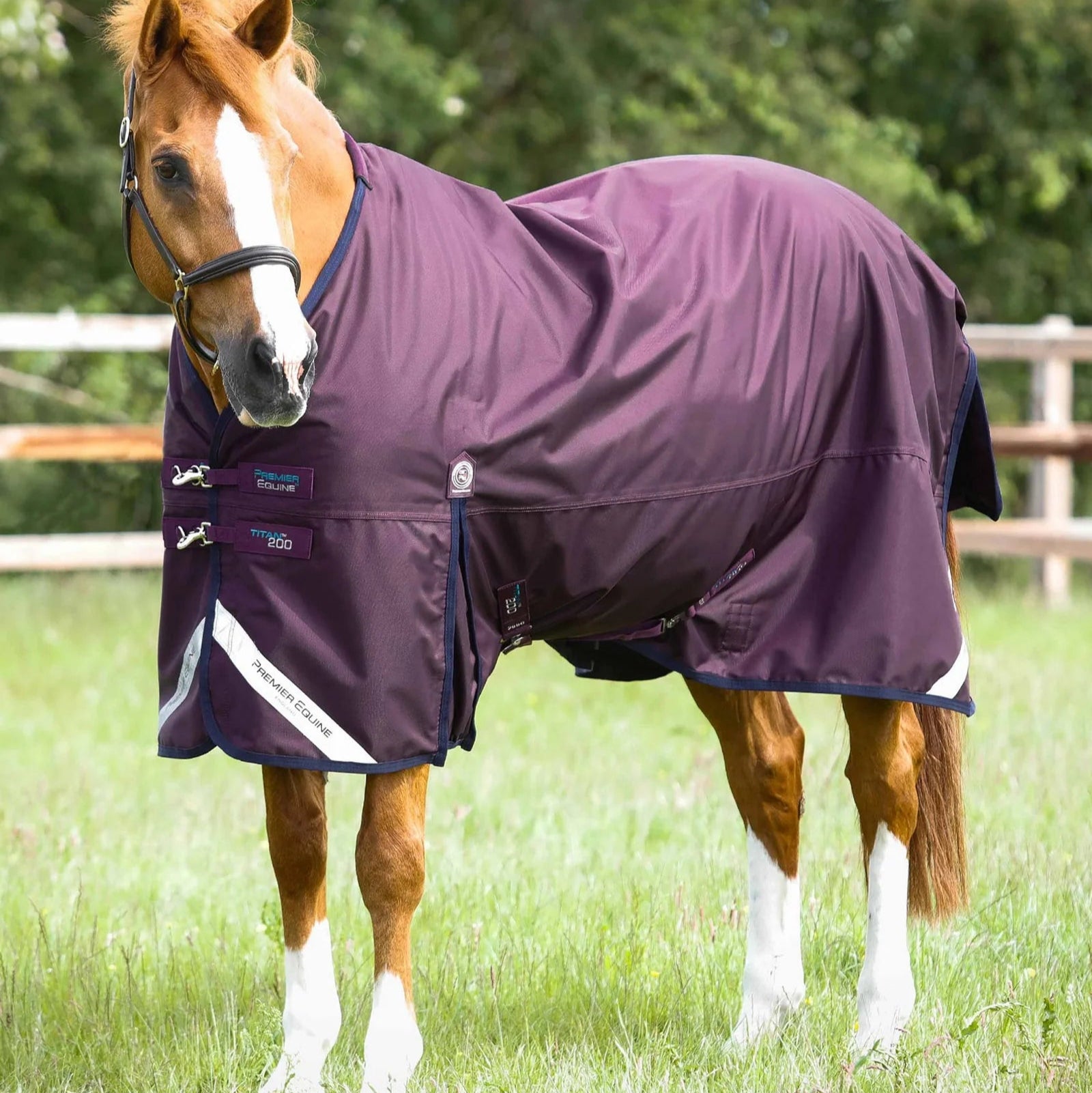Premier Equine Titan 200g Original Turnout Rug Purple