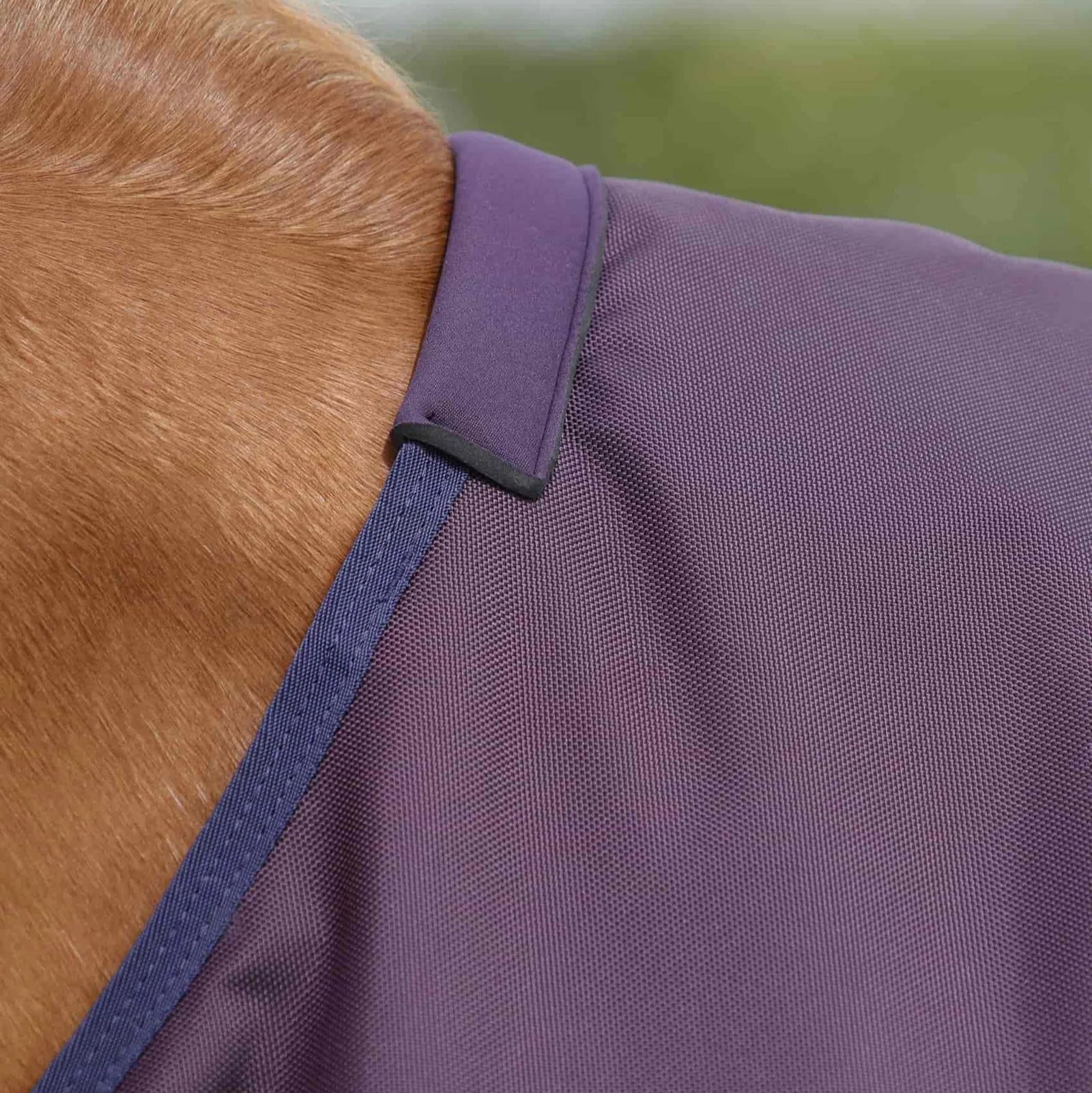 Premier Equine Titan 200g Original Turnout Rug Purple