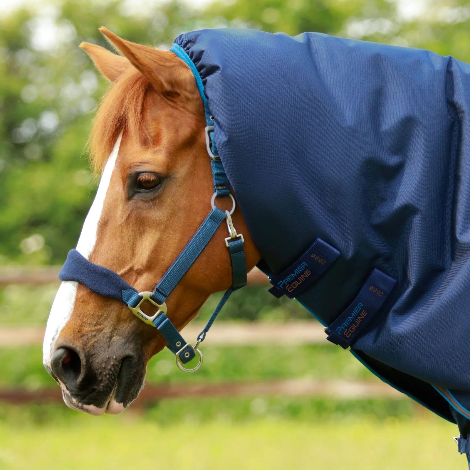 Premier Equine Titan 200g Turnout Rug with Snug-Fit Neck Cover Navy