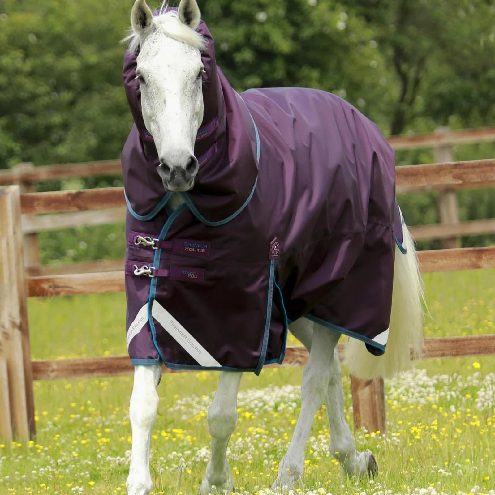 Premier Equine Titan 200g Turnout Rug with Snug-Fit Neck Cover Purple