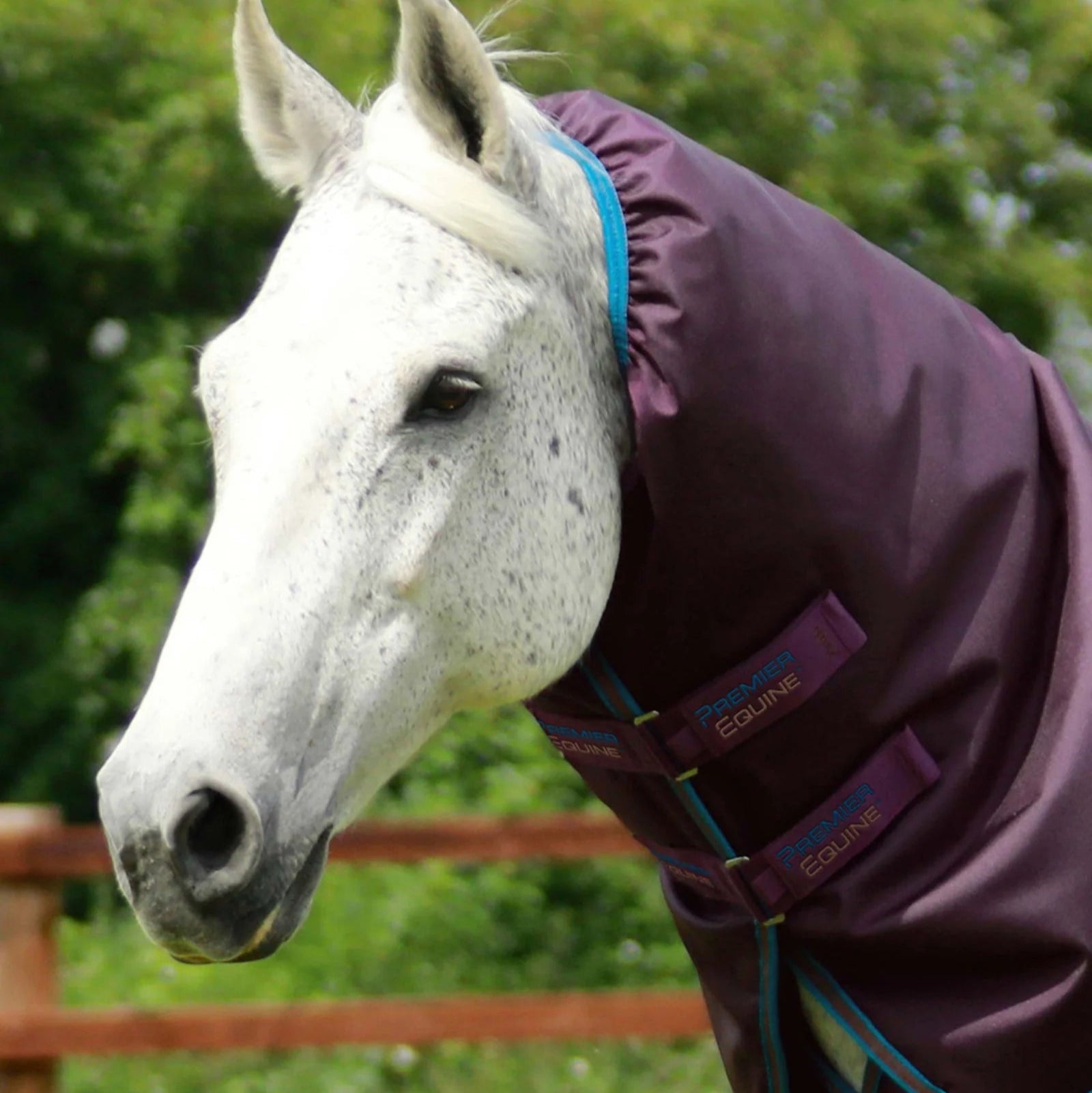 Premier Equine Titan 200g Turnout Rug with Snug-Fit Neck Cover Purple