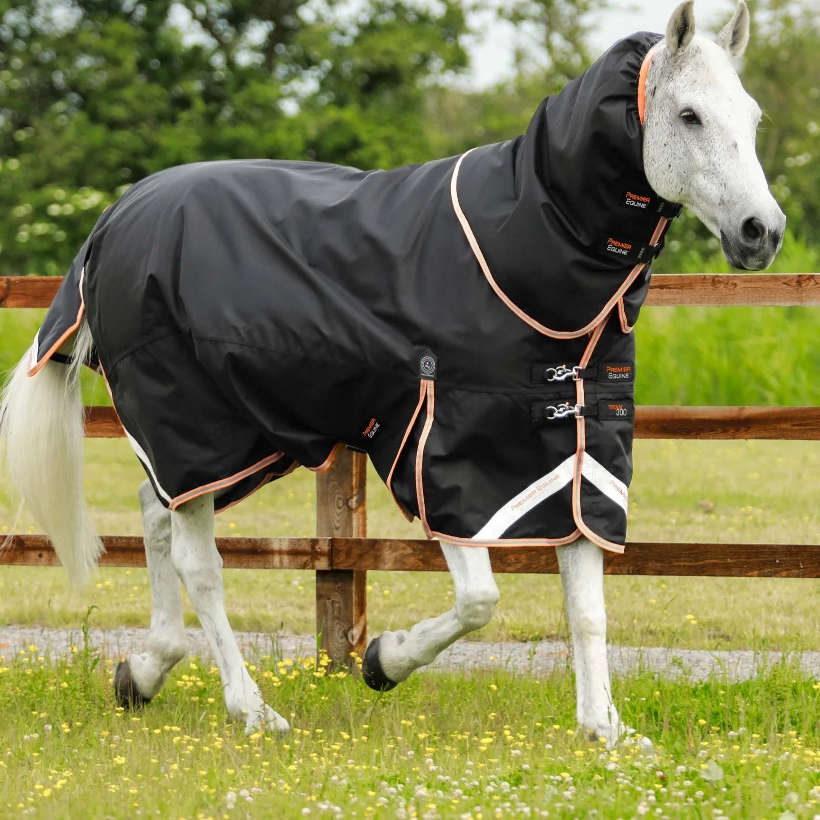 Premier Equine Titan 300g Turnout Rug with Snug-Fit Neck Cover Black