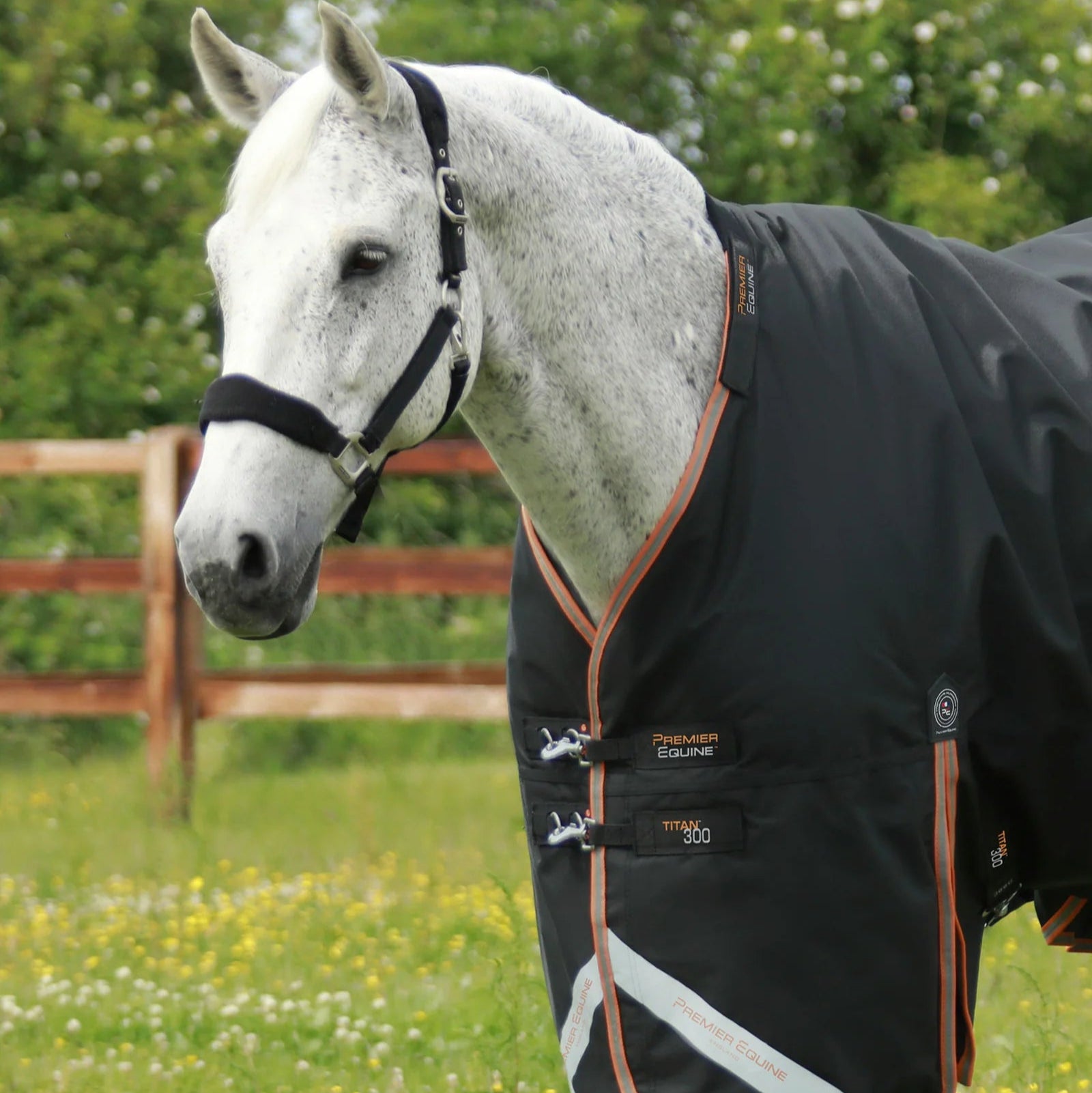 Premier Equine Titan 300g Turnout Rug with Snug-Fit Neck Cover Black