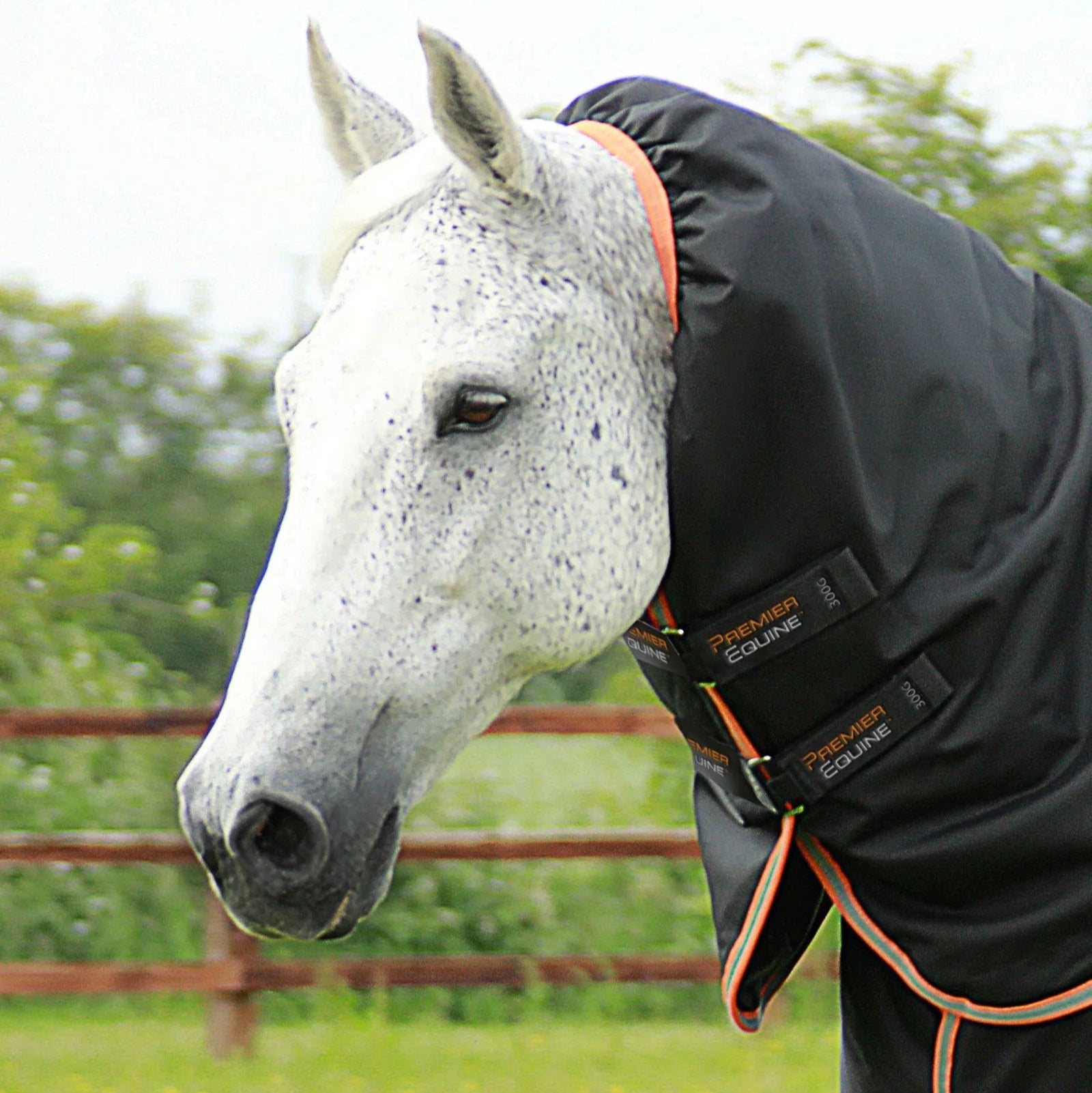 Premier Equine Titan 300g Turnout Rug with Snug-Fit Neck Cover Black