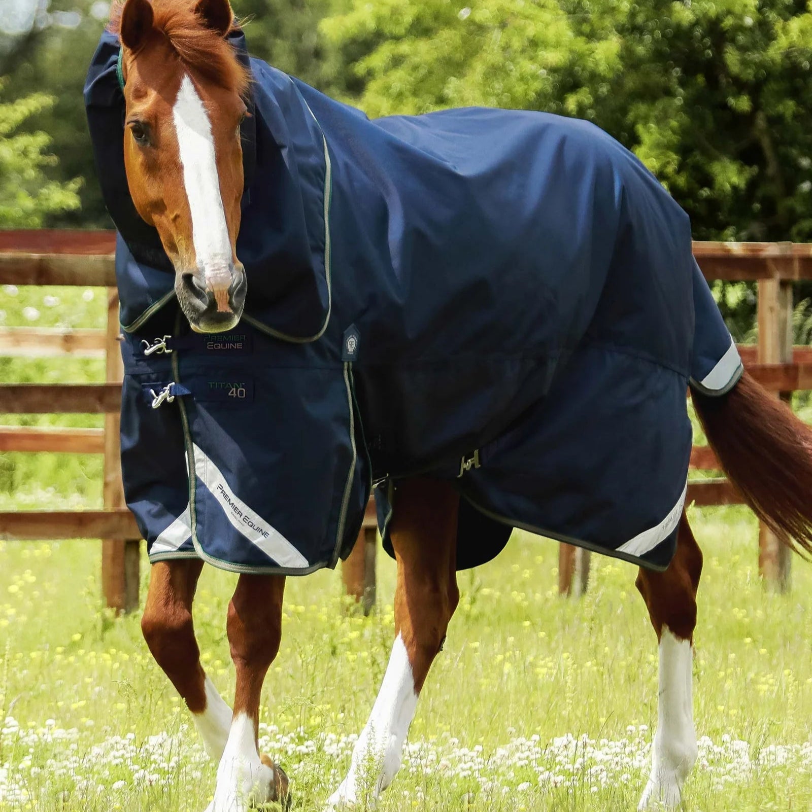 Premier Equine Titan 40g Turnout Rug with Snug-Fit Neck Cover Navy
