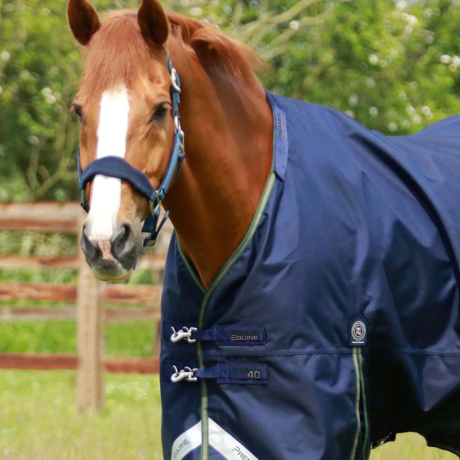 Chestnut Horse in Premier Equine Titan 40g Turnout Rug with Neck Cover - Waterproof & Warm