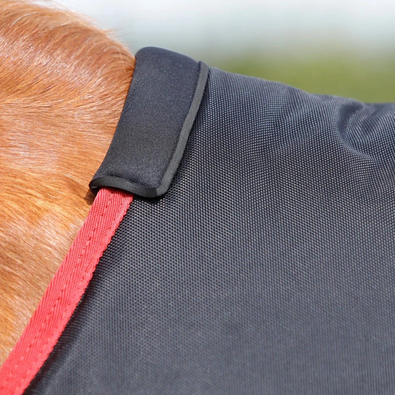 Premier Equine Titan 450g Black Turnout Rug: Horse Rug, Heavyweight, Weatherproof, Durable, Close-up