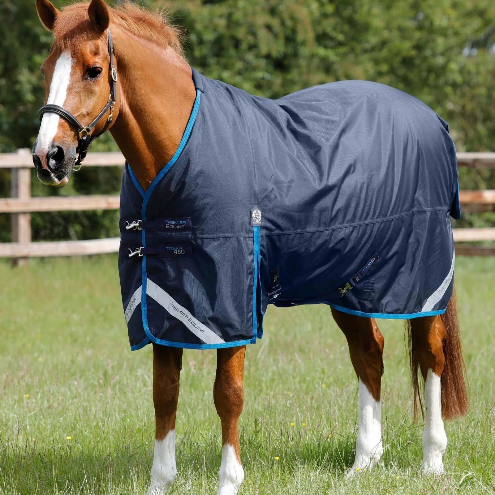 PREMIER EQUINE TITAN 450G Navy Turnout Rug for Horses - Waterproof, Breathable. Horse wearing rug in field.