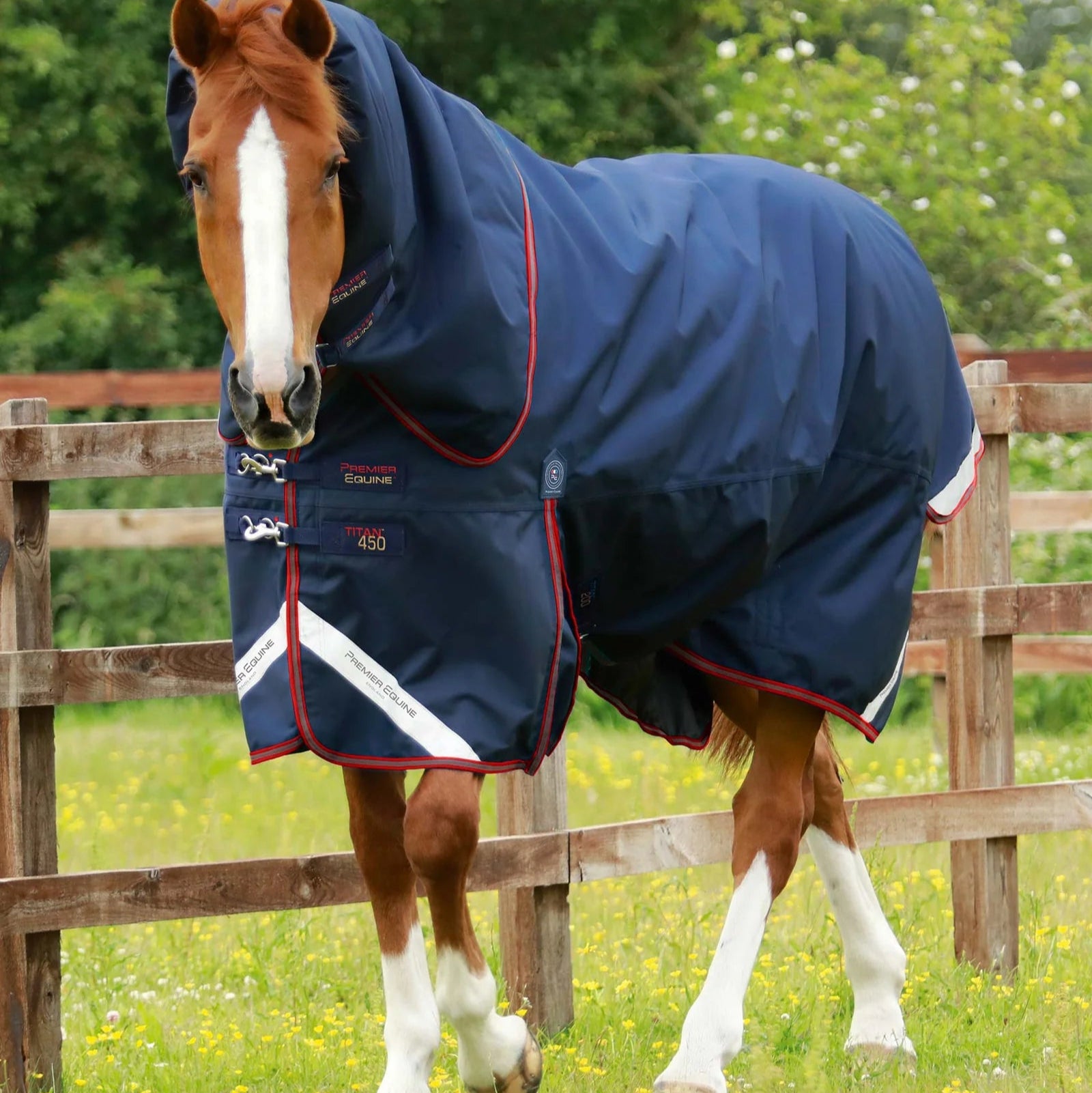 Chestnut Horse Wearing Premier Equine Titan 450g Turnout Rug with Neck Cover Navy. Durable Equestrian Gear.