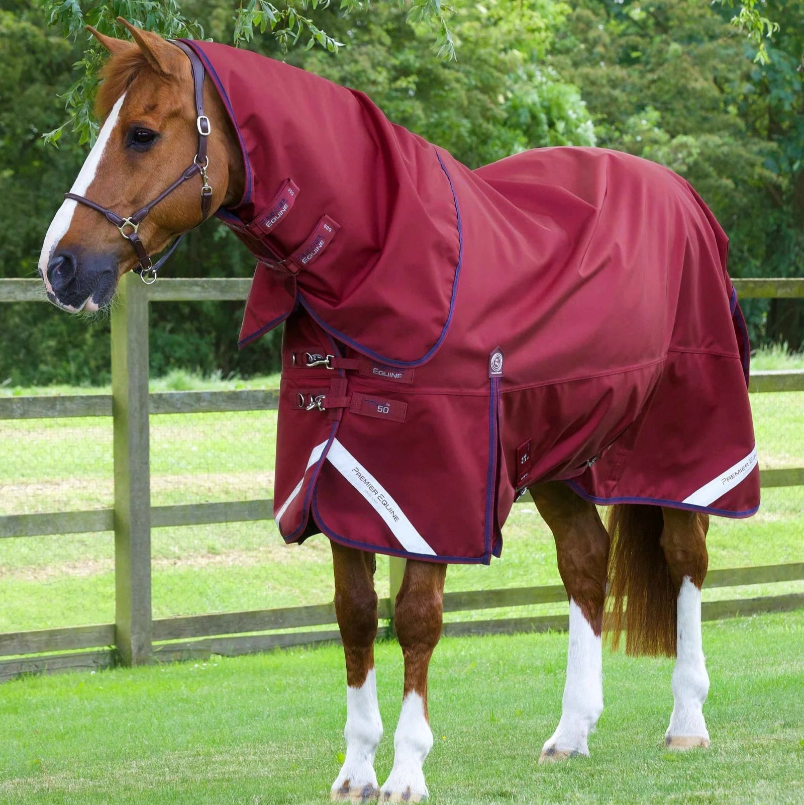 Premier Equine Titan 50g Turnout Rug with Classic Neck Cover Burgundy