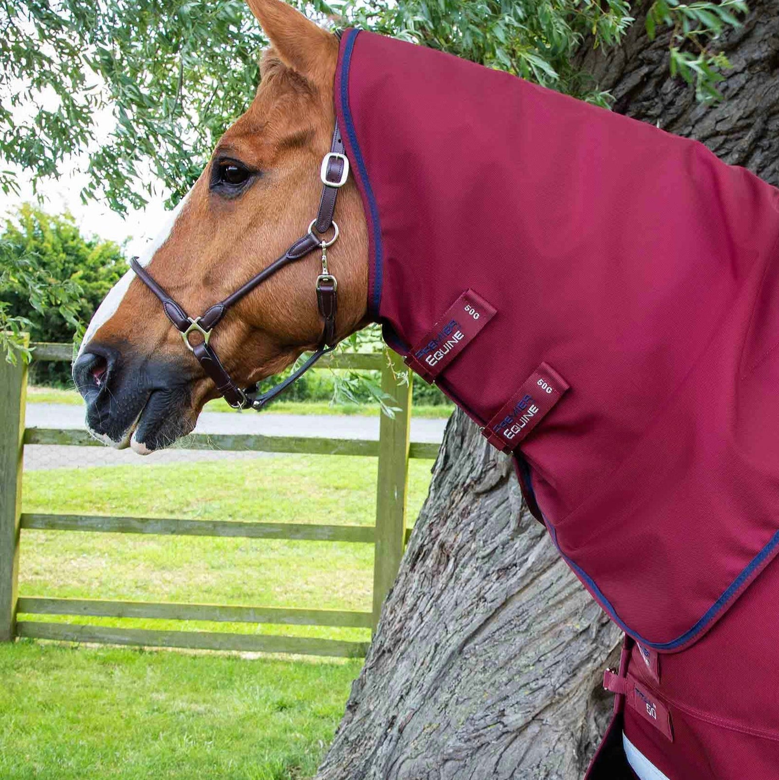 Premier Equine Titan 50g Turnout Rug with Classic Neck Cover Burgundy