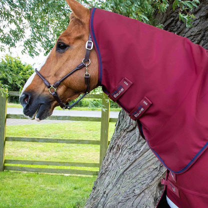 Premier Equine Titan 50g Turnout Rug with Classic Neck Cover Burgundy