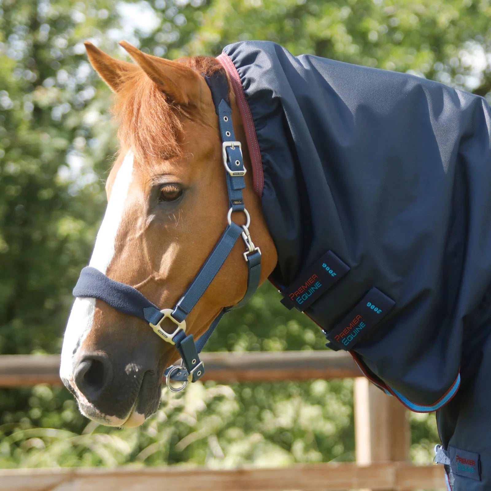 Premier Equine Titan Storm 200g Combo Turnout Rug with Snug-Fit Neck Navy