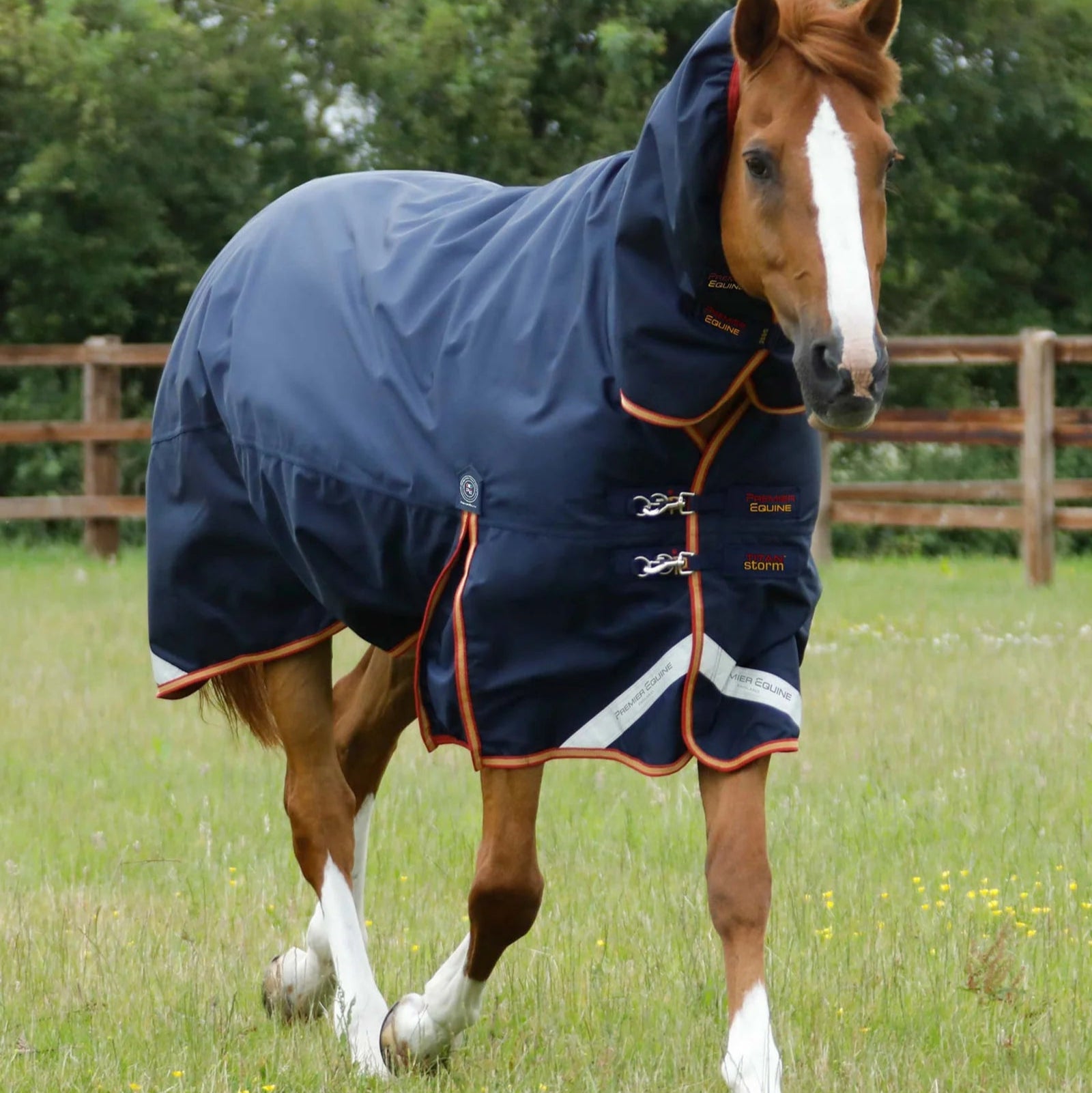 Premier Equine Titan Storm 450g Navy Horse Turnout Rug with Snug-Fit Neck