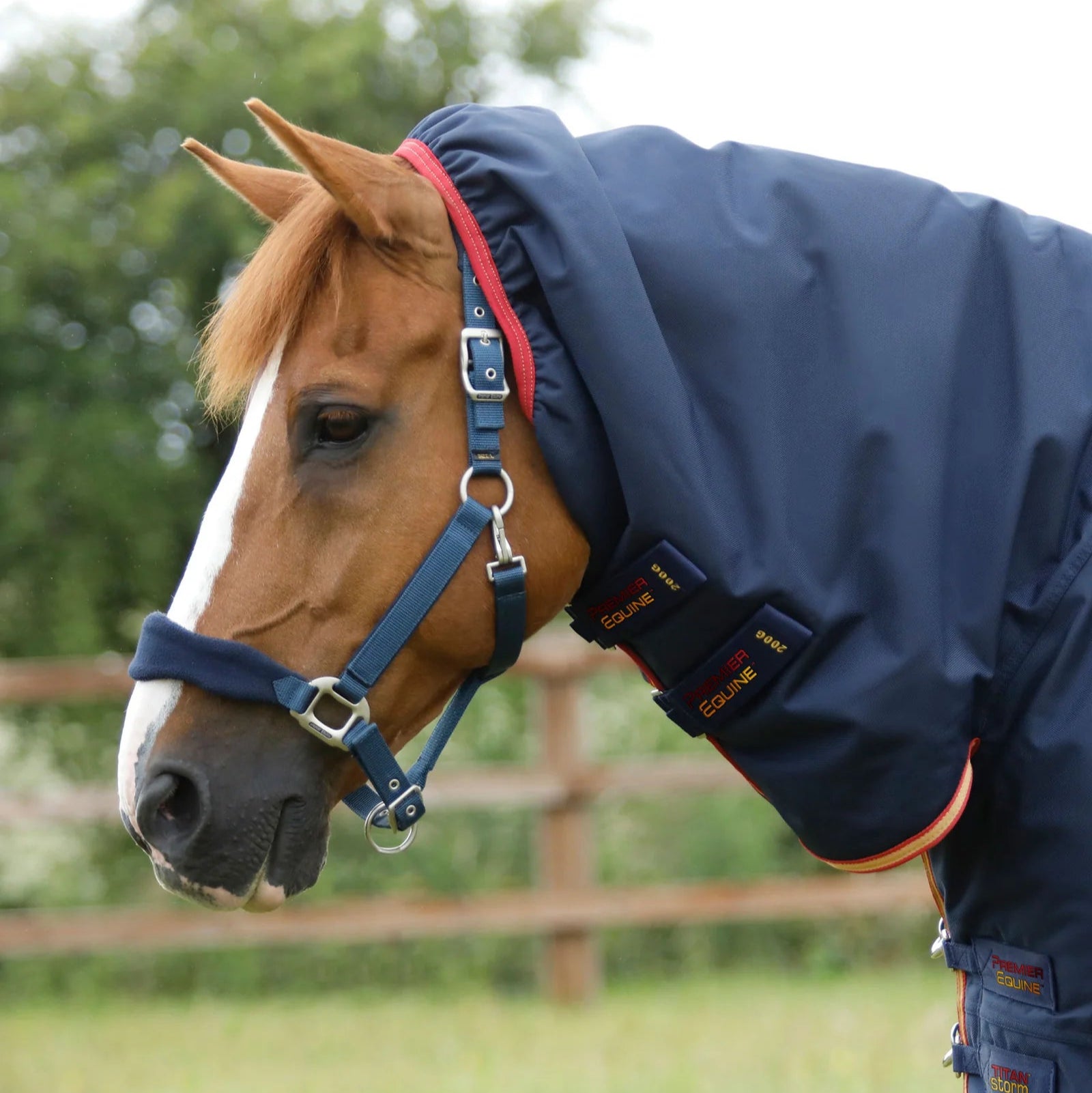 Premier Equine Titan Storm 450g Navy Combo Turnout Rug with Snug-Fit Neck for Horses