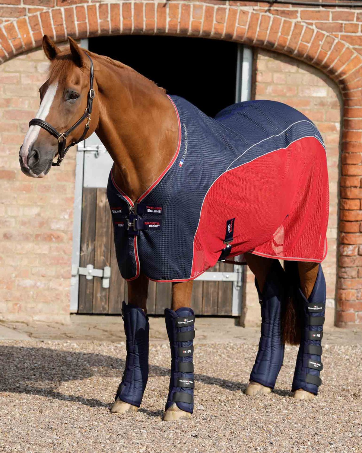 Chestnut Horse in Premier Equine Travel-Tech Xtra Boots (Navy) & Cooler Rug