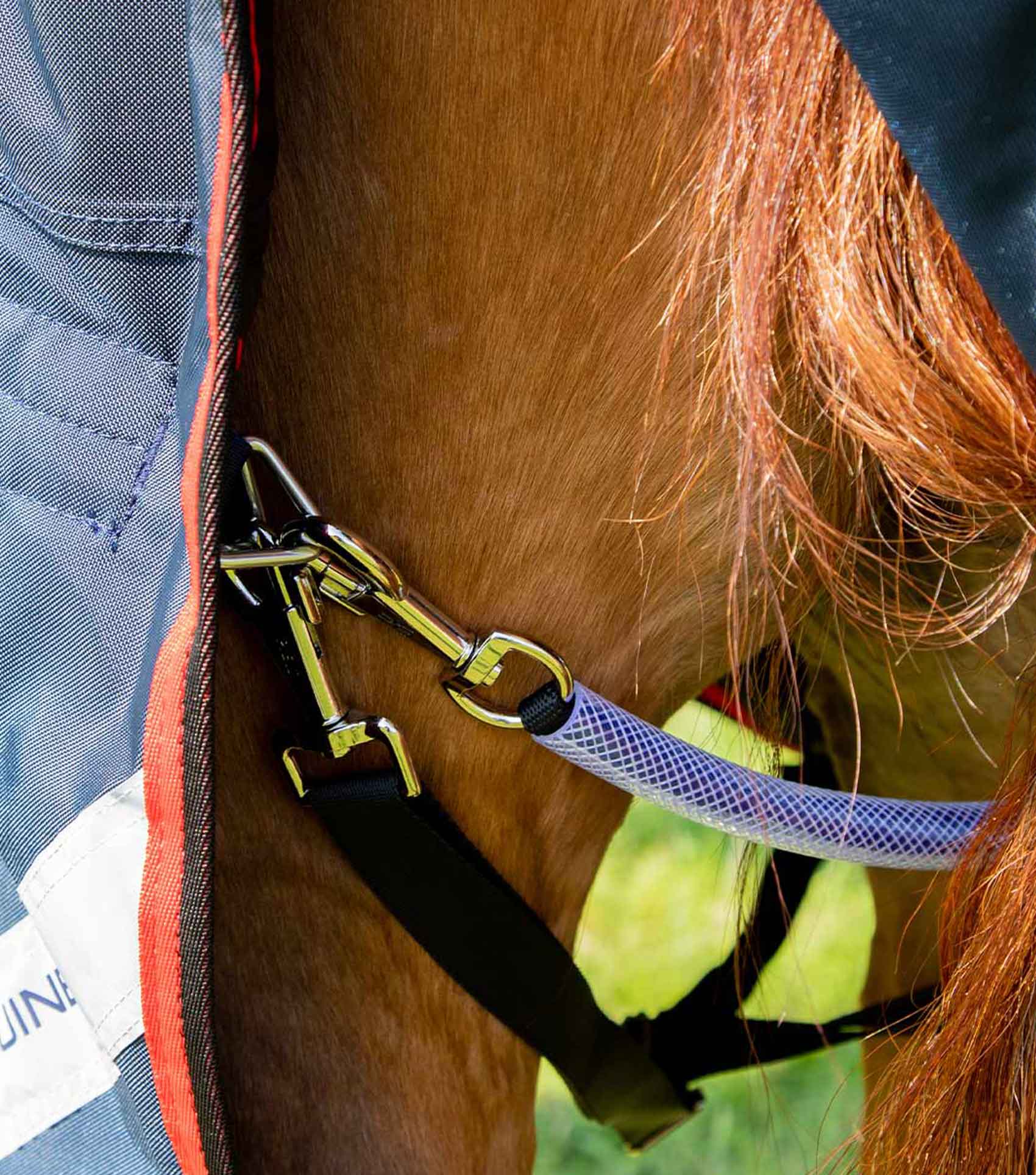 Premier Equine Horse Rug Leg Strap Triangle Ring - Equiflair