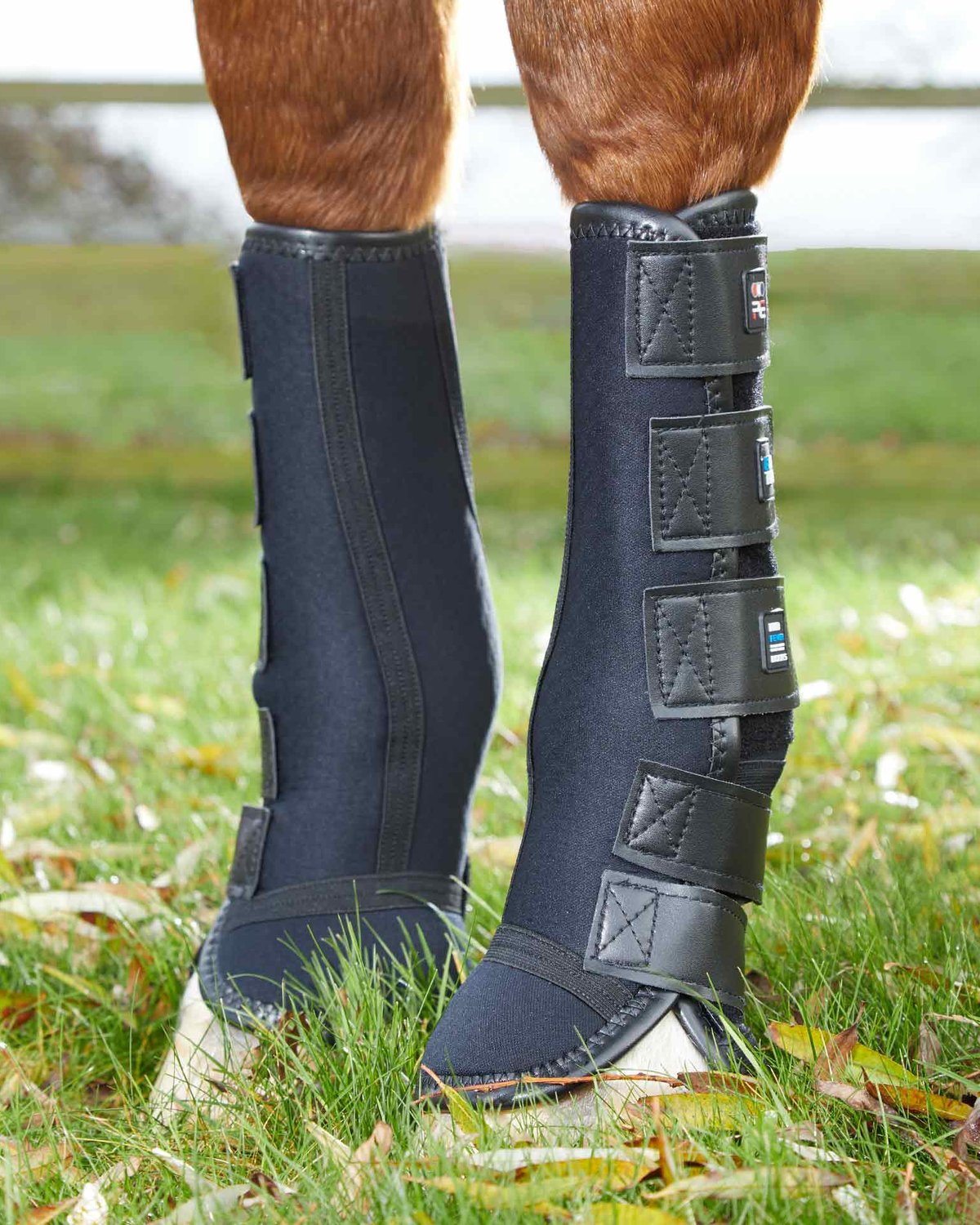 PREMIER EQUINE Black Turnout Boots: Mud Fever Protection for Horses - Equine Leg Protection.