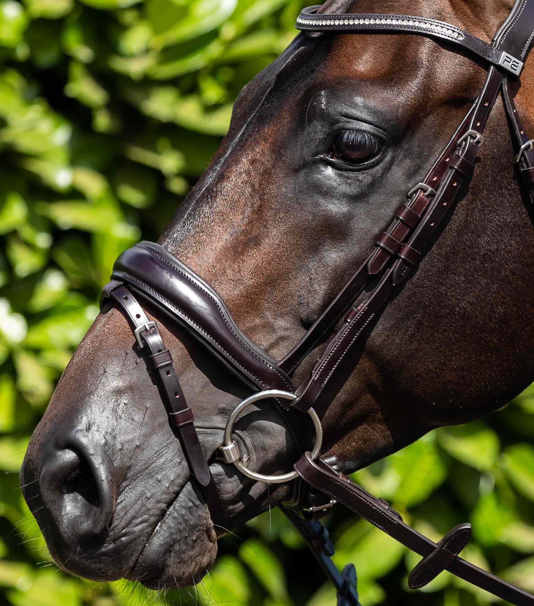 Premier Equine Brown Leather Billet Cheek Pieces for Horse Bridle