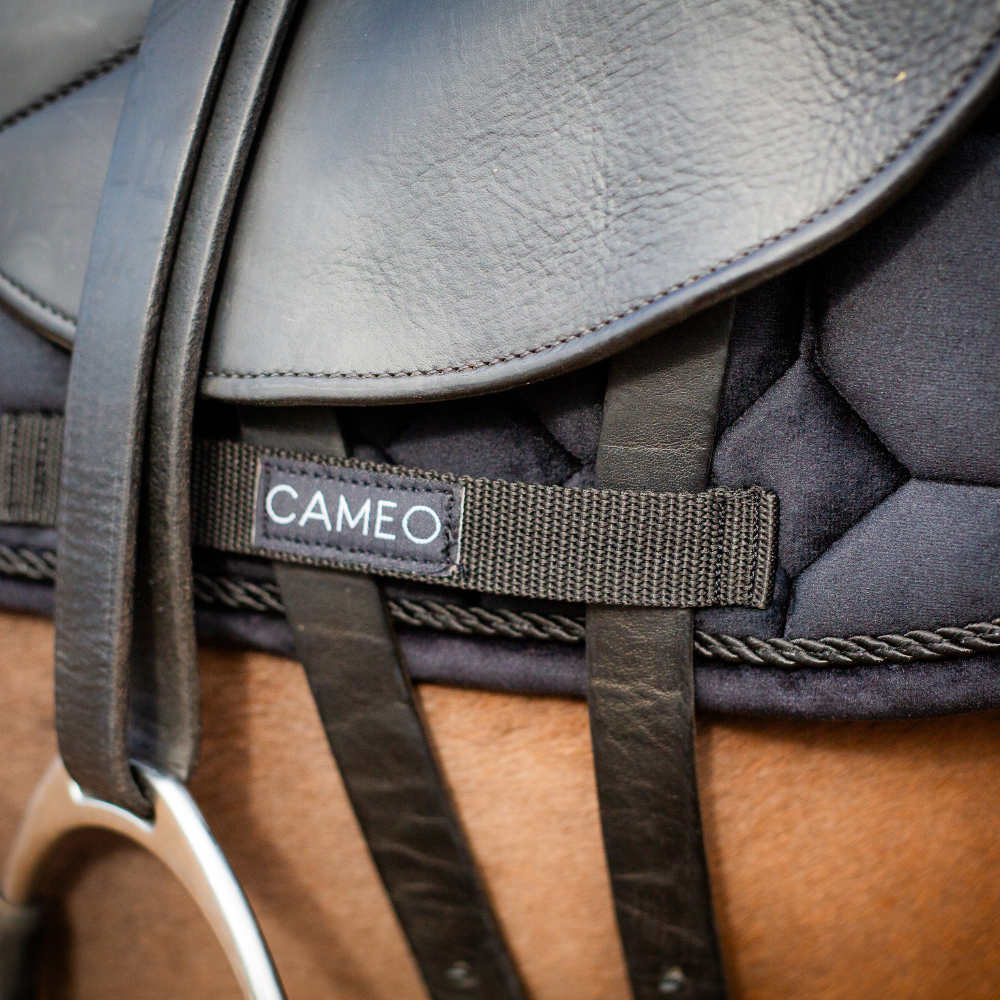 CAMEO black dressage saddlecloth on horse. Equestrian saddle pad for dressage riding.