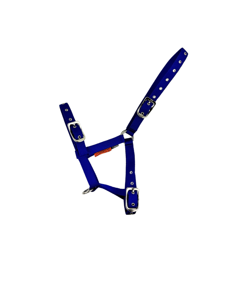 CAMEO Foal Headcollar - Royal Blue - Adjustable Horse Halter