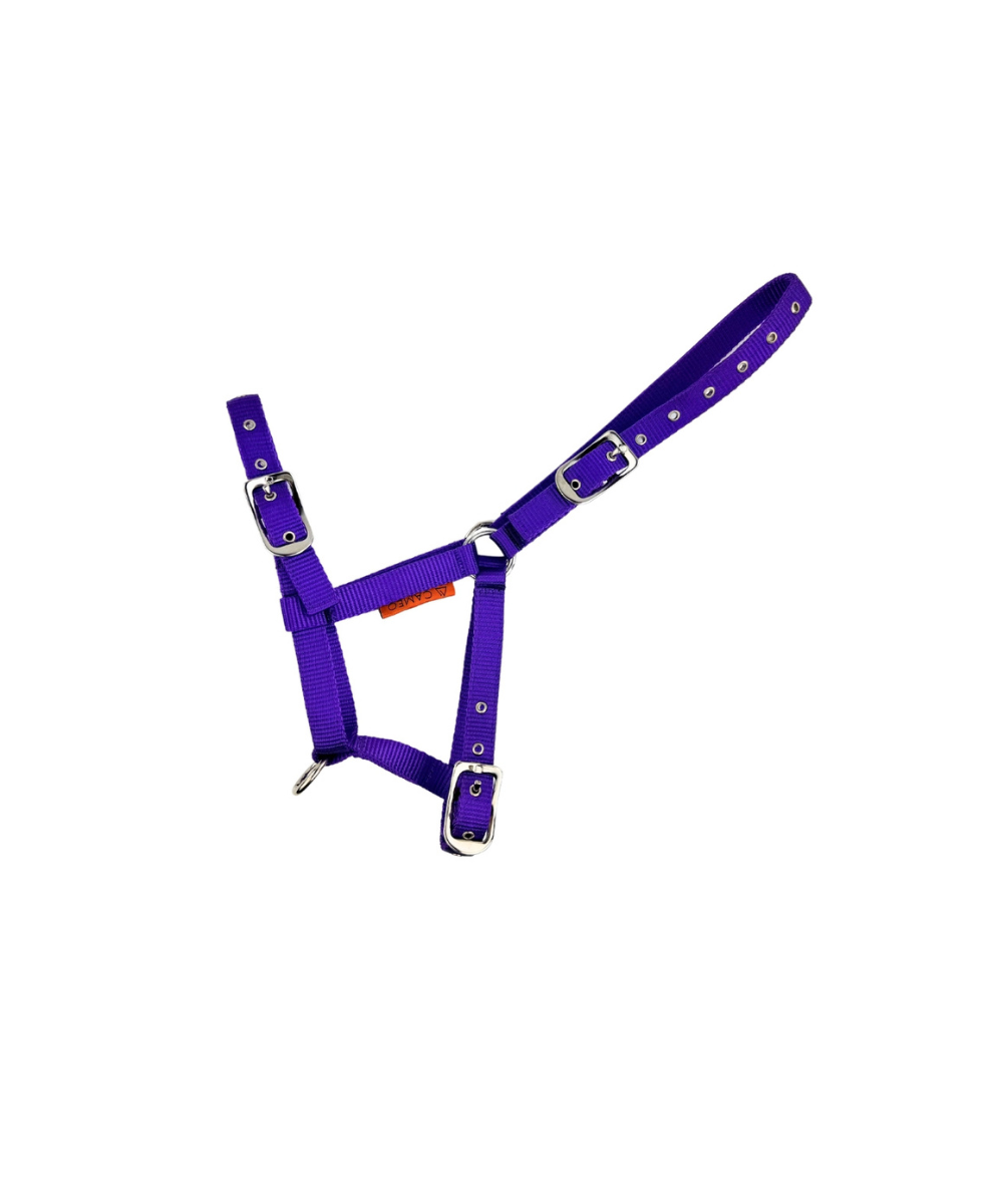 CAMEO Foal Headcollar Purple - Adjustable Horse Halter, Brassed Fittings, C507