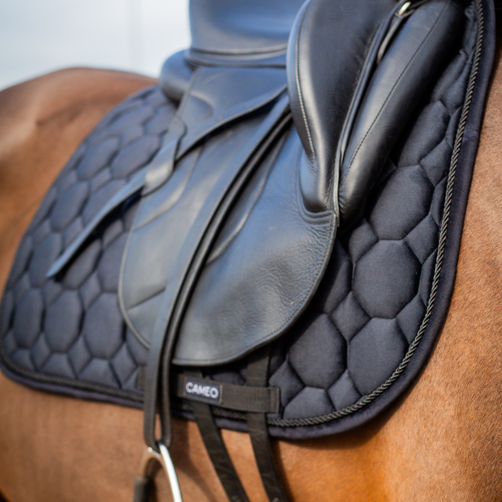 CAMEO Black Dressage Saddlecloth - Suede, Padded - Horse Riding Equipment | Equiflair