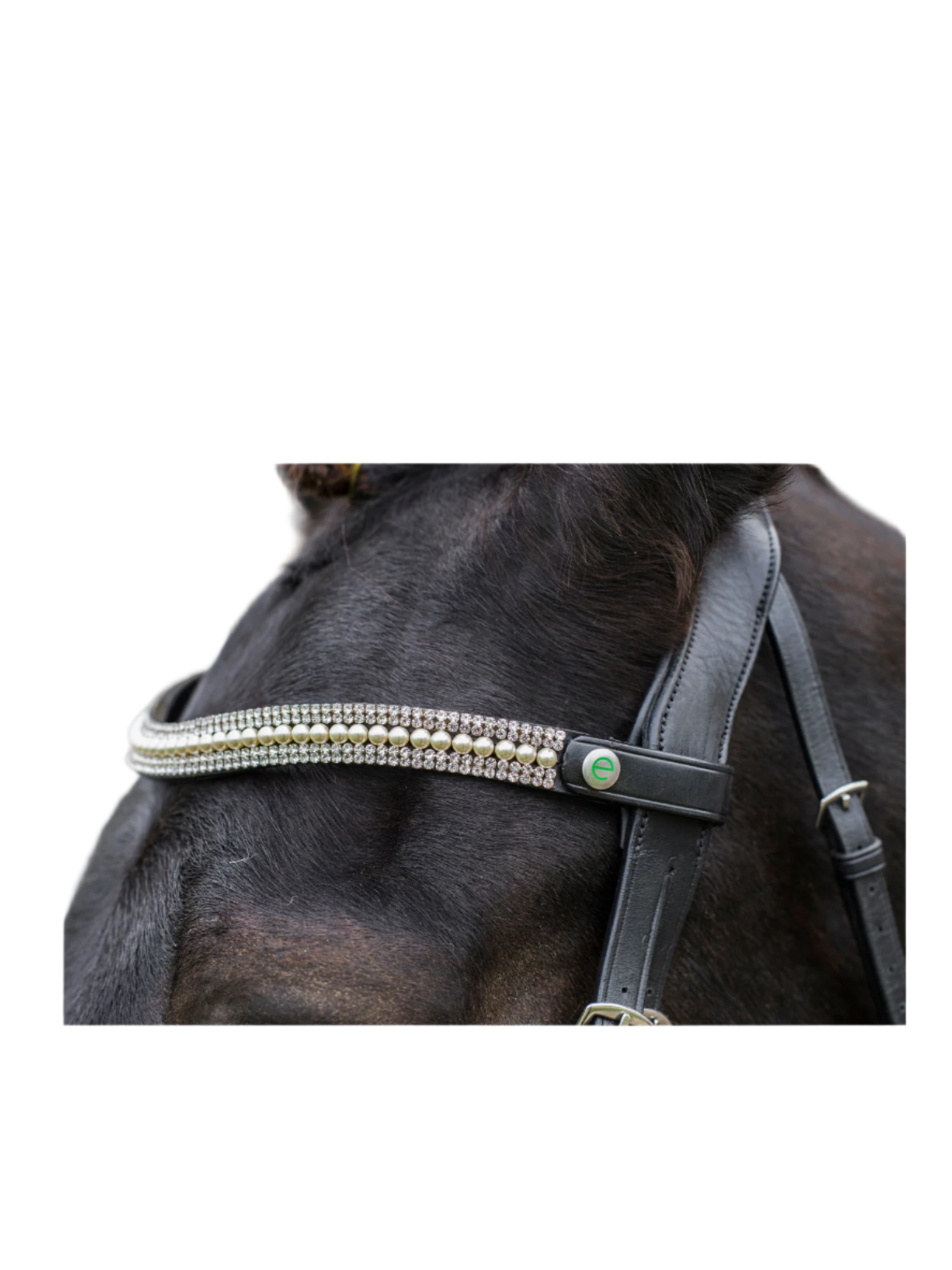 Ecorider Freedom Grace Browband Black