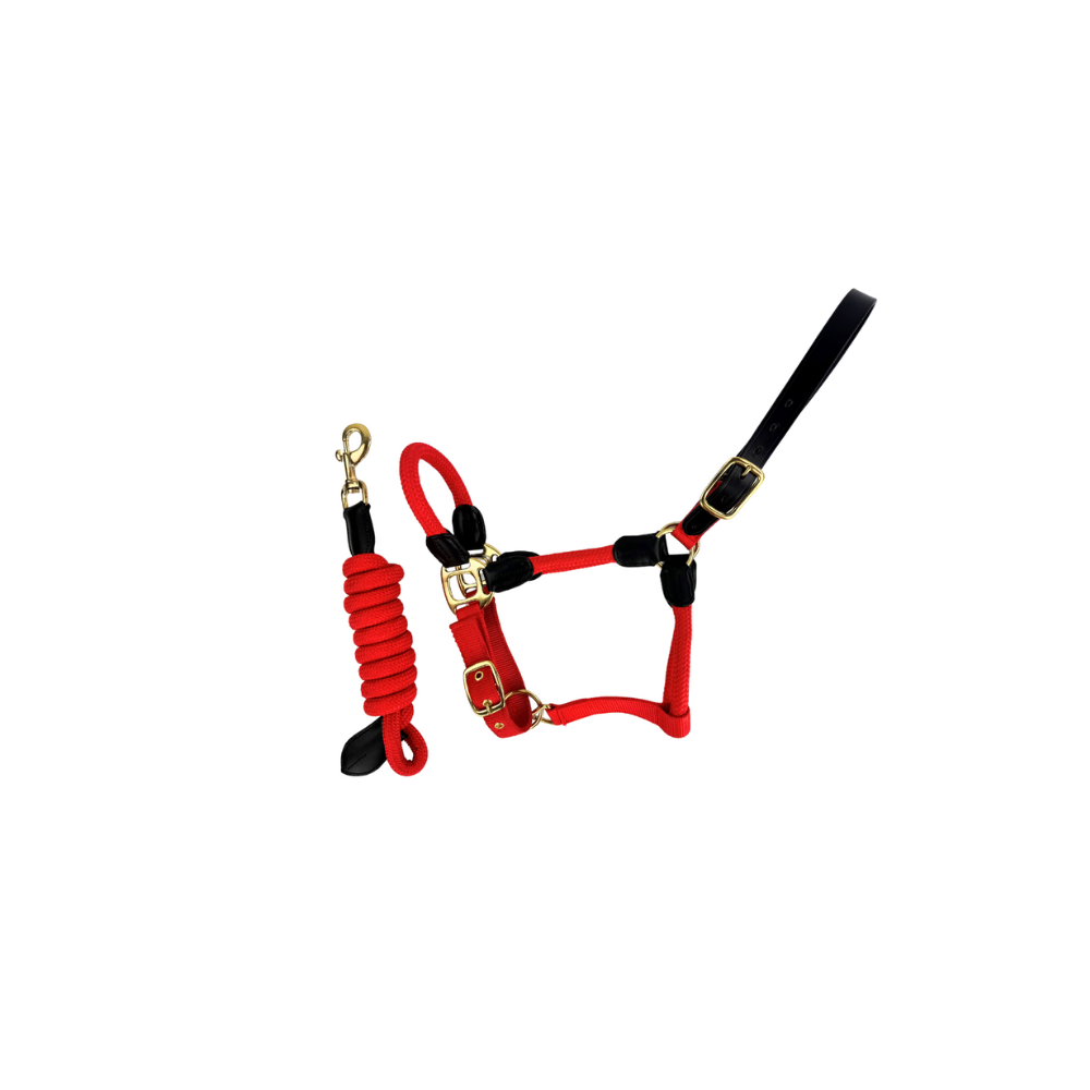Red Rope Leather Horse Headcollar with Lead Rope | Equine Halter