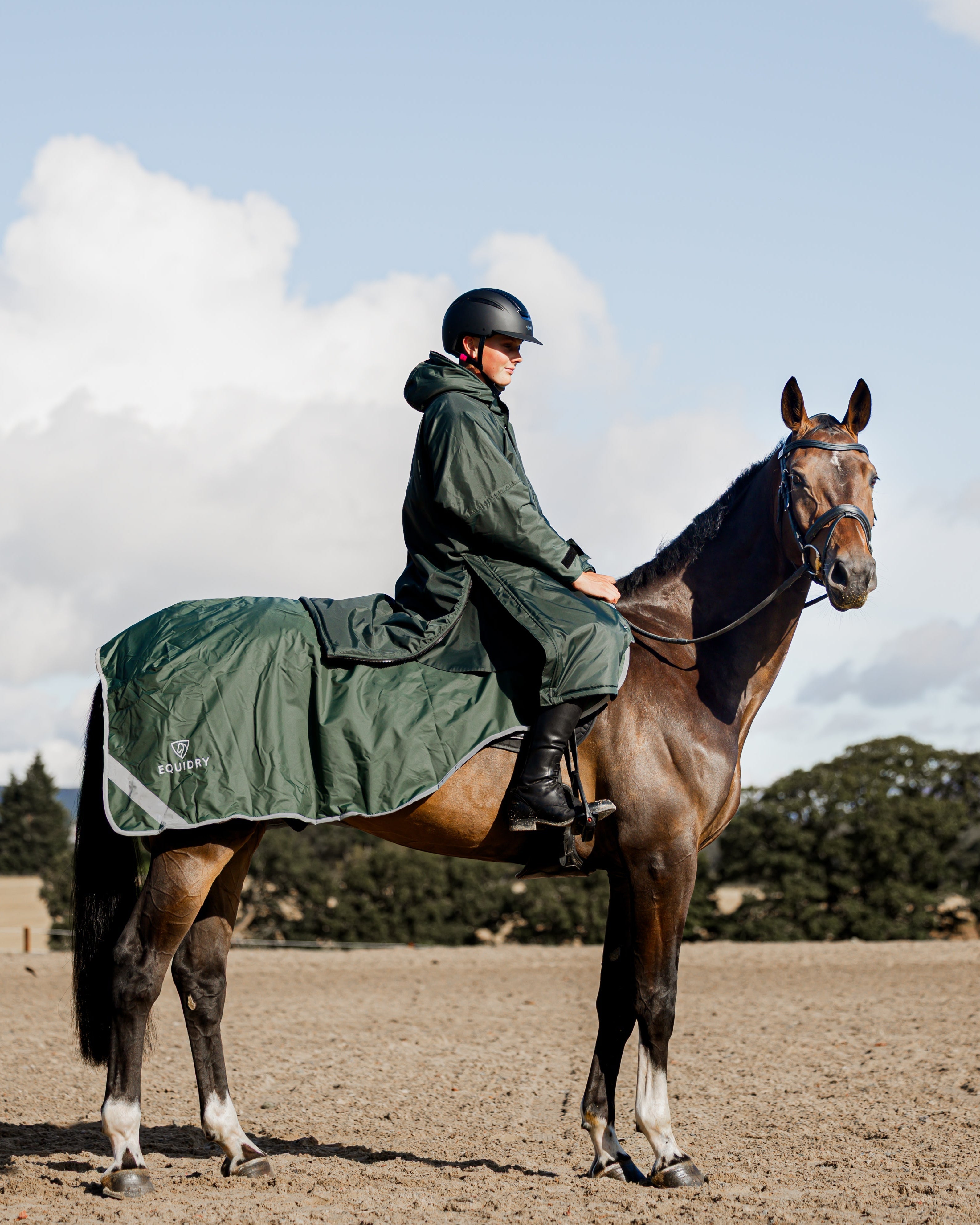 EQUIDRY Waterproof Exercise Sheet Thick Black Forest Green/Grey