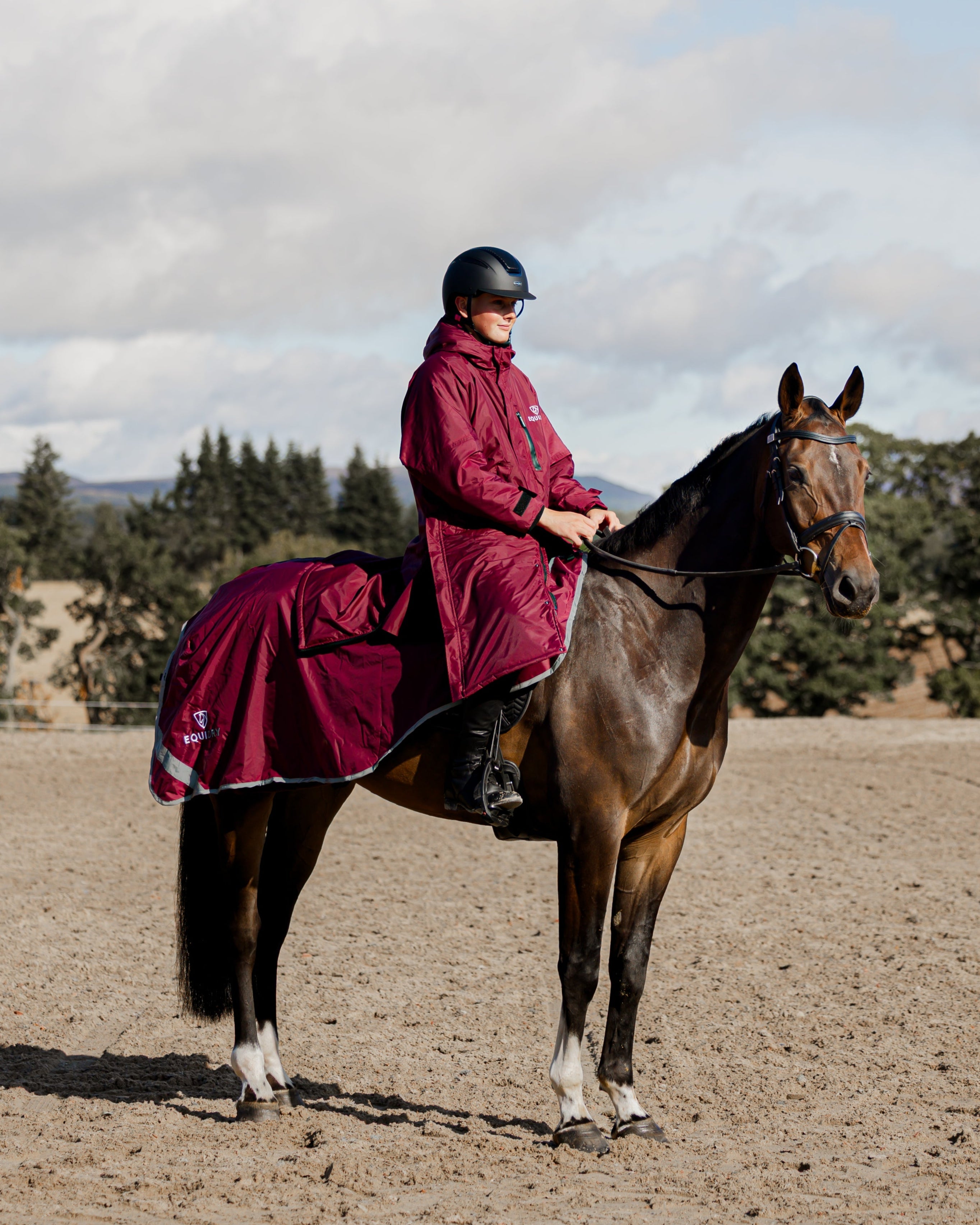 EQUIDRY Waterproof Exercise Sheet Thick Plum/Grey